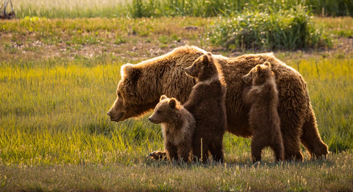 Mother's Day