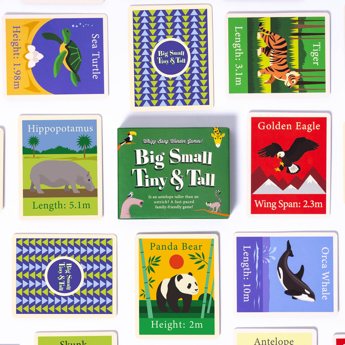 Big Small Tiny Tall game box with game cards laying next to it