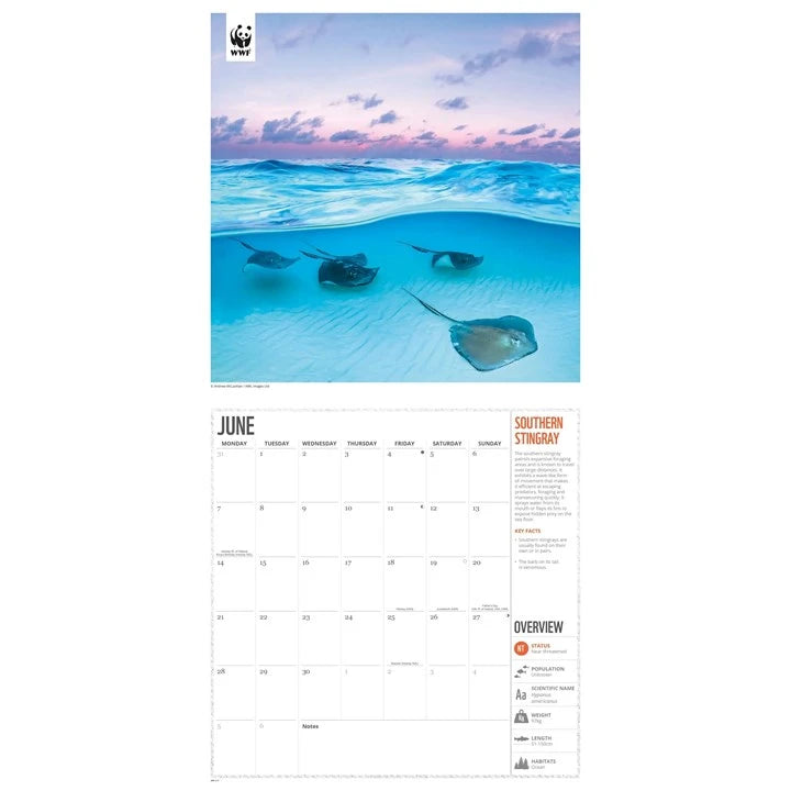 WWF Amazing Wildlife Calendar 2027