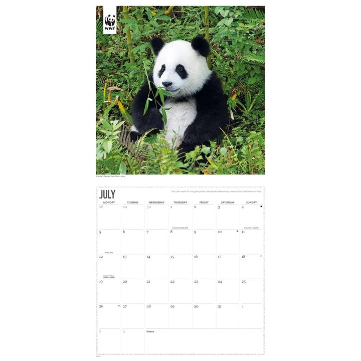 WWF Pandas Calendar 2027