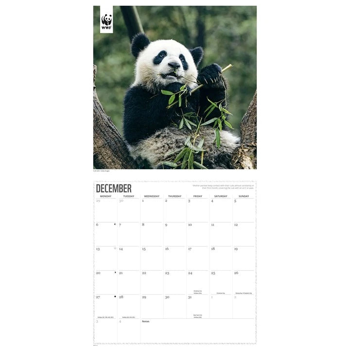 WWF Pandas Calendar 2027