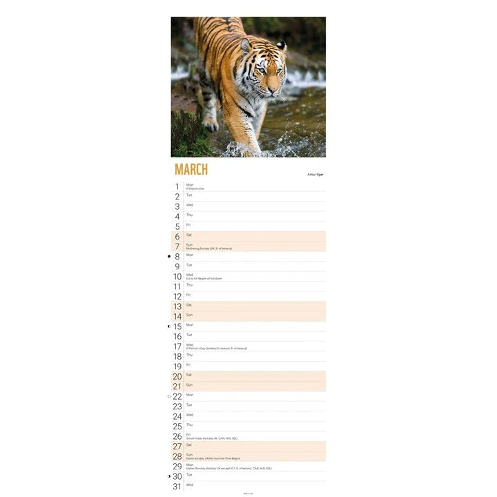 WWF Tigers Calendar 2027