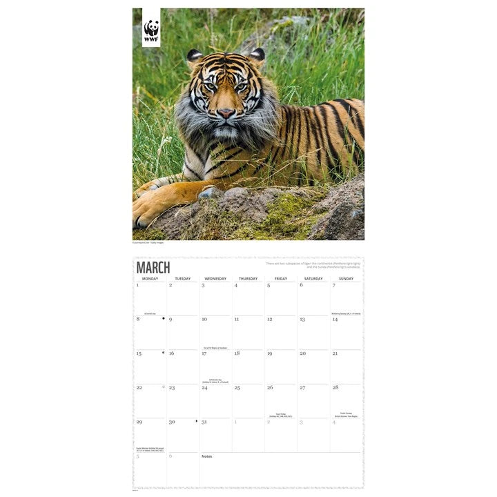 WWF Tigers Calendar 2027