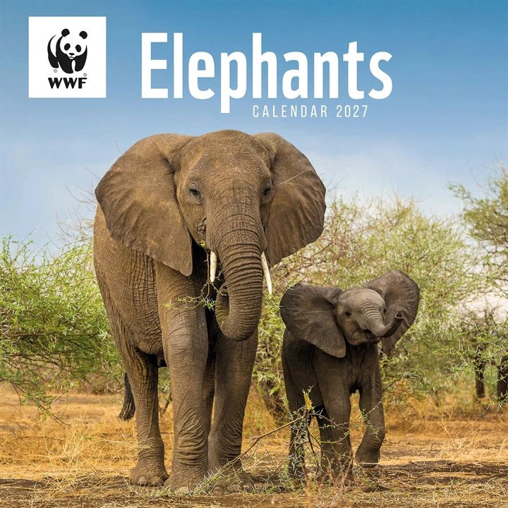 WWF Elephants Calendar 2027