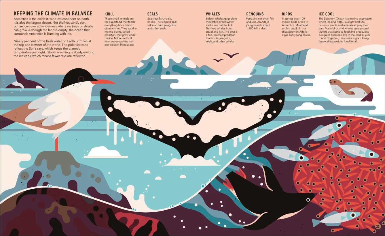Zoom Out Natural World Book