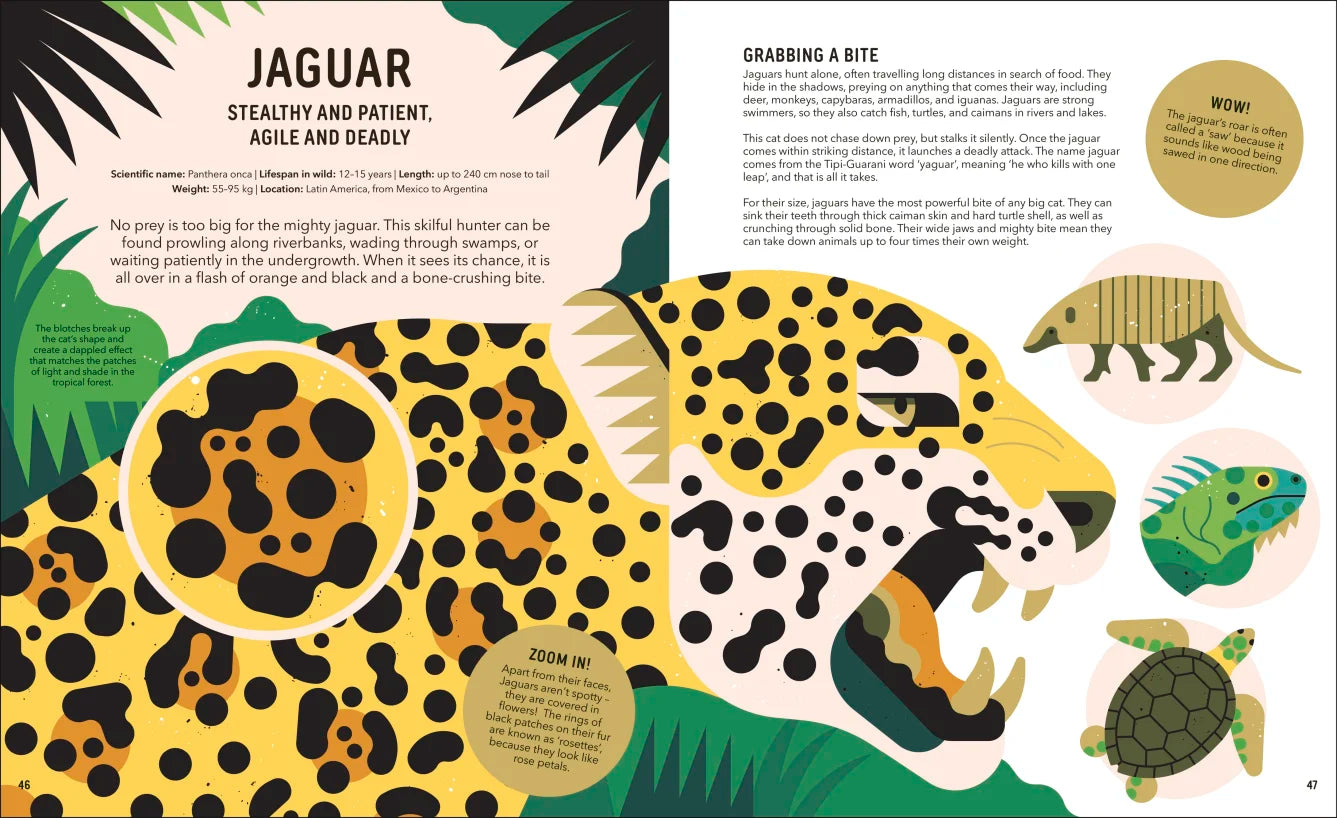 Zoom Out Natural World Book