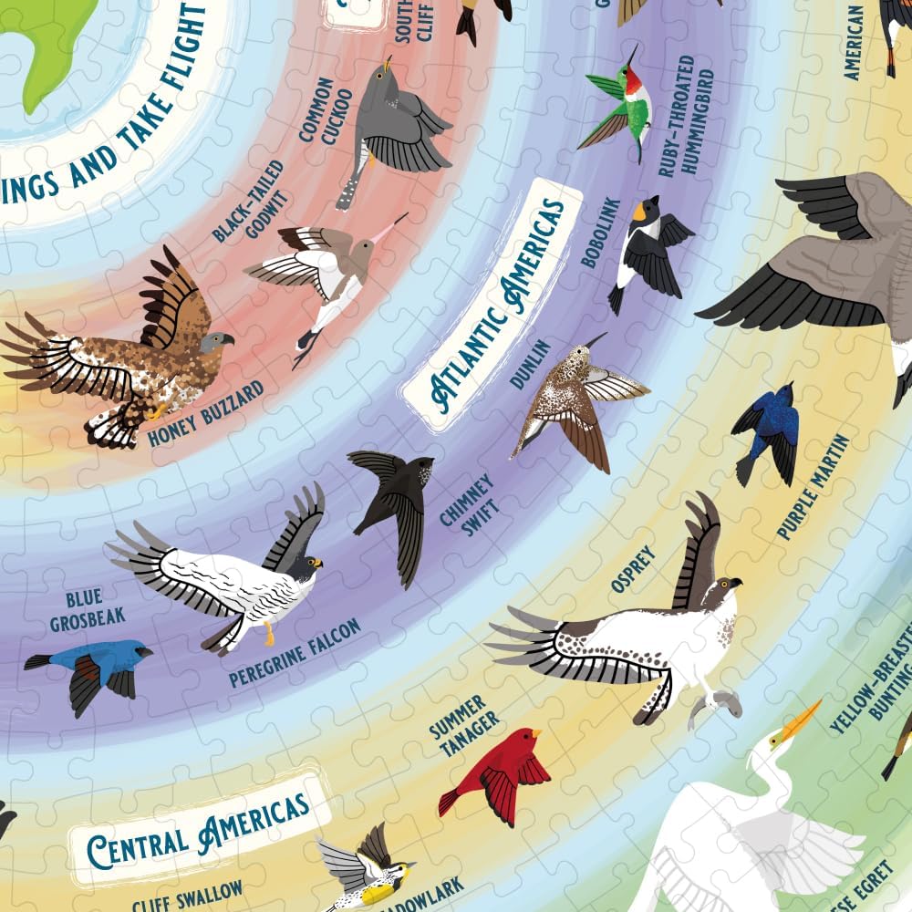 Close up of a section of the Bird lover's Jigsaw puzzle with illustrated birds, their names and where you can find them