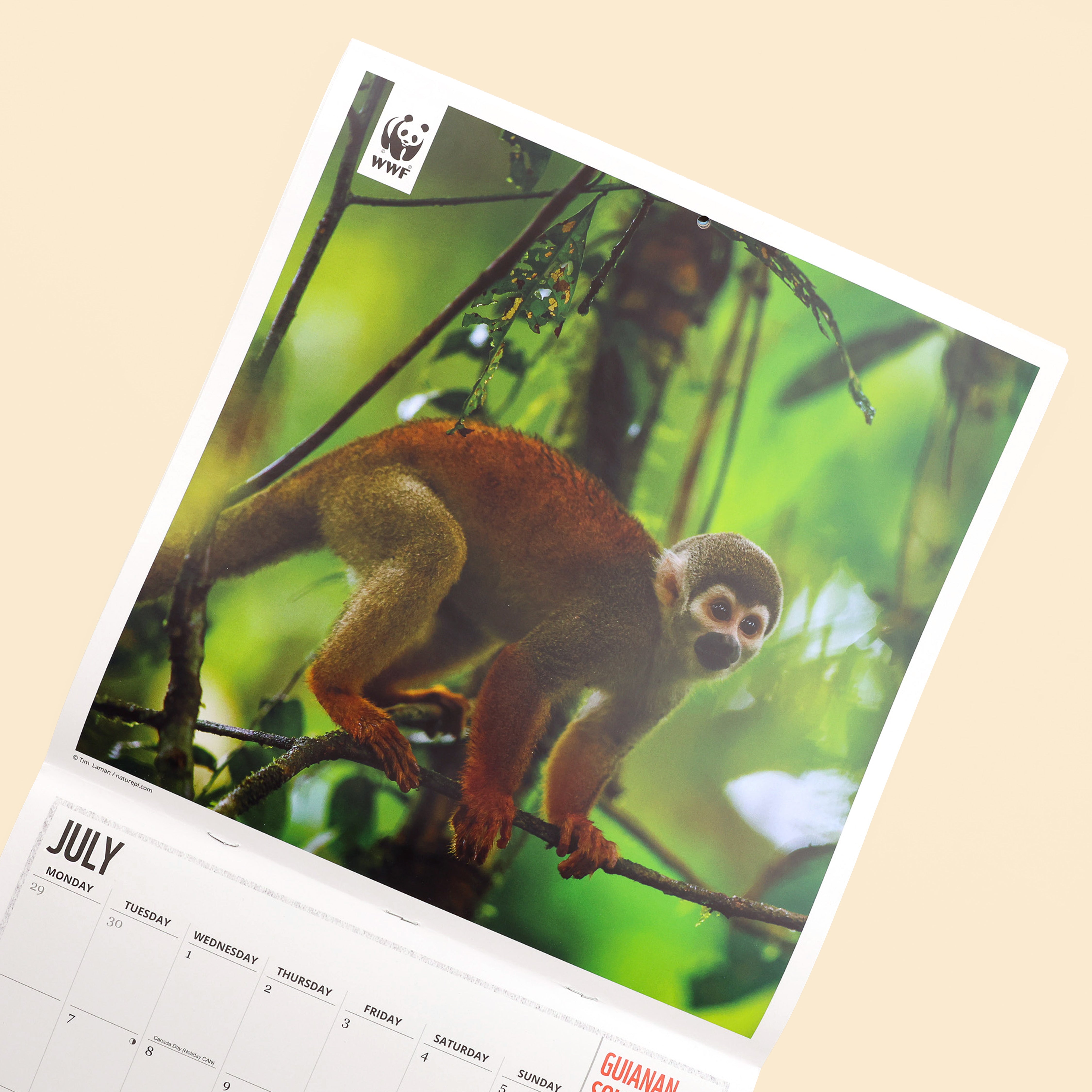Amazing Wildlife Wall Calendar 2026
