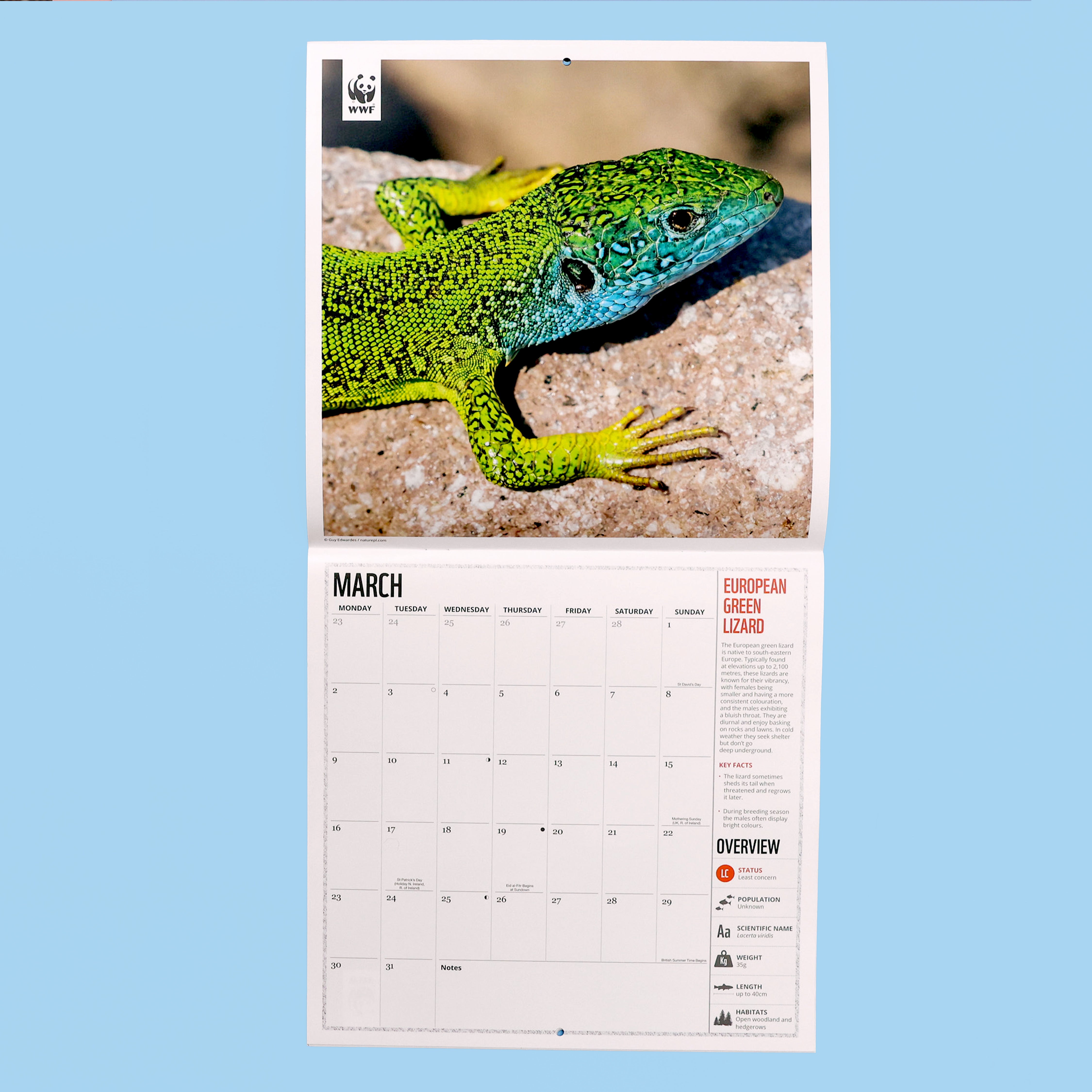 Amazing Wildlife Wall Calendar 2026