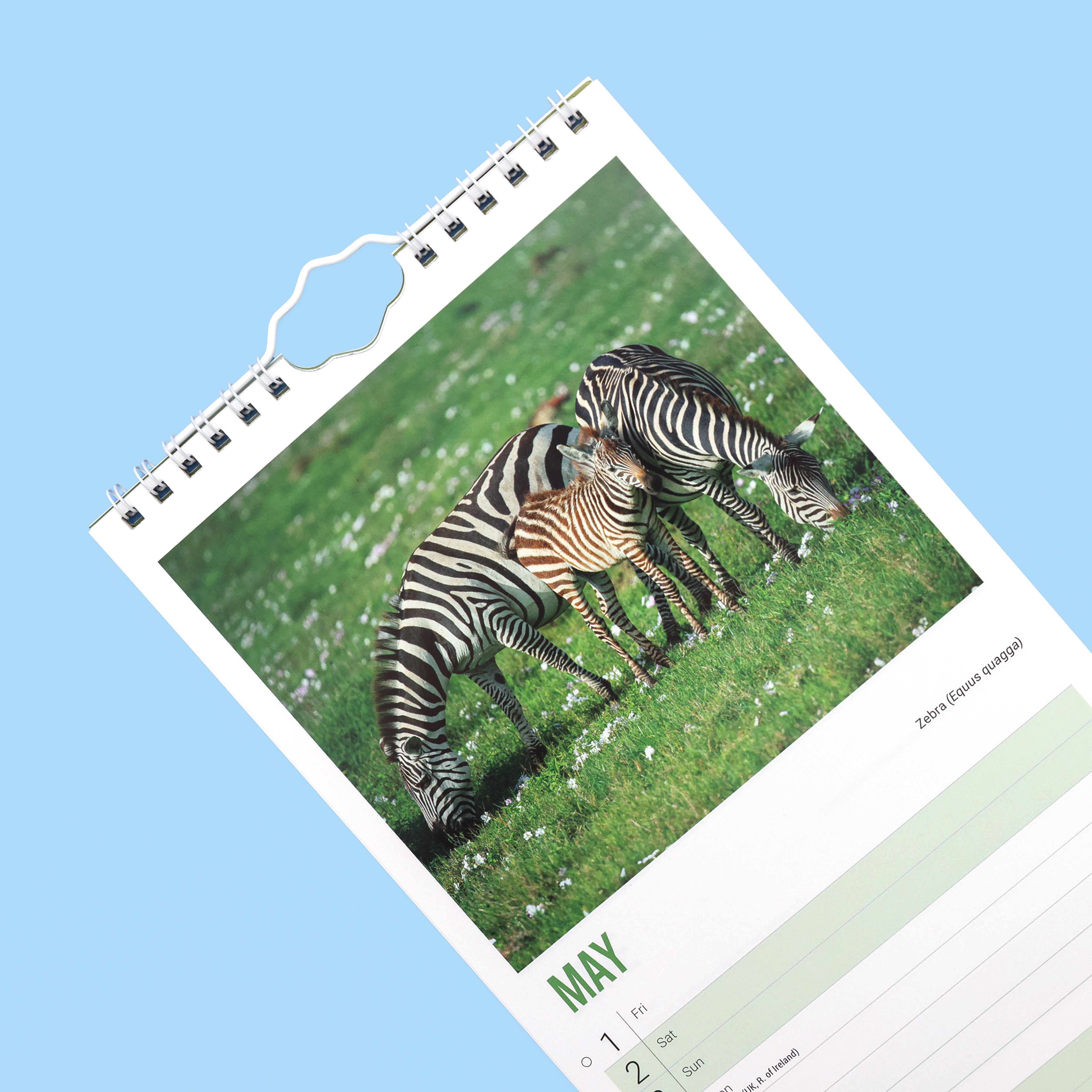 Baby Animals Slim Calendar 2026
