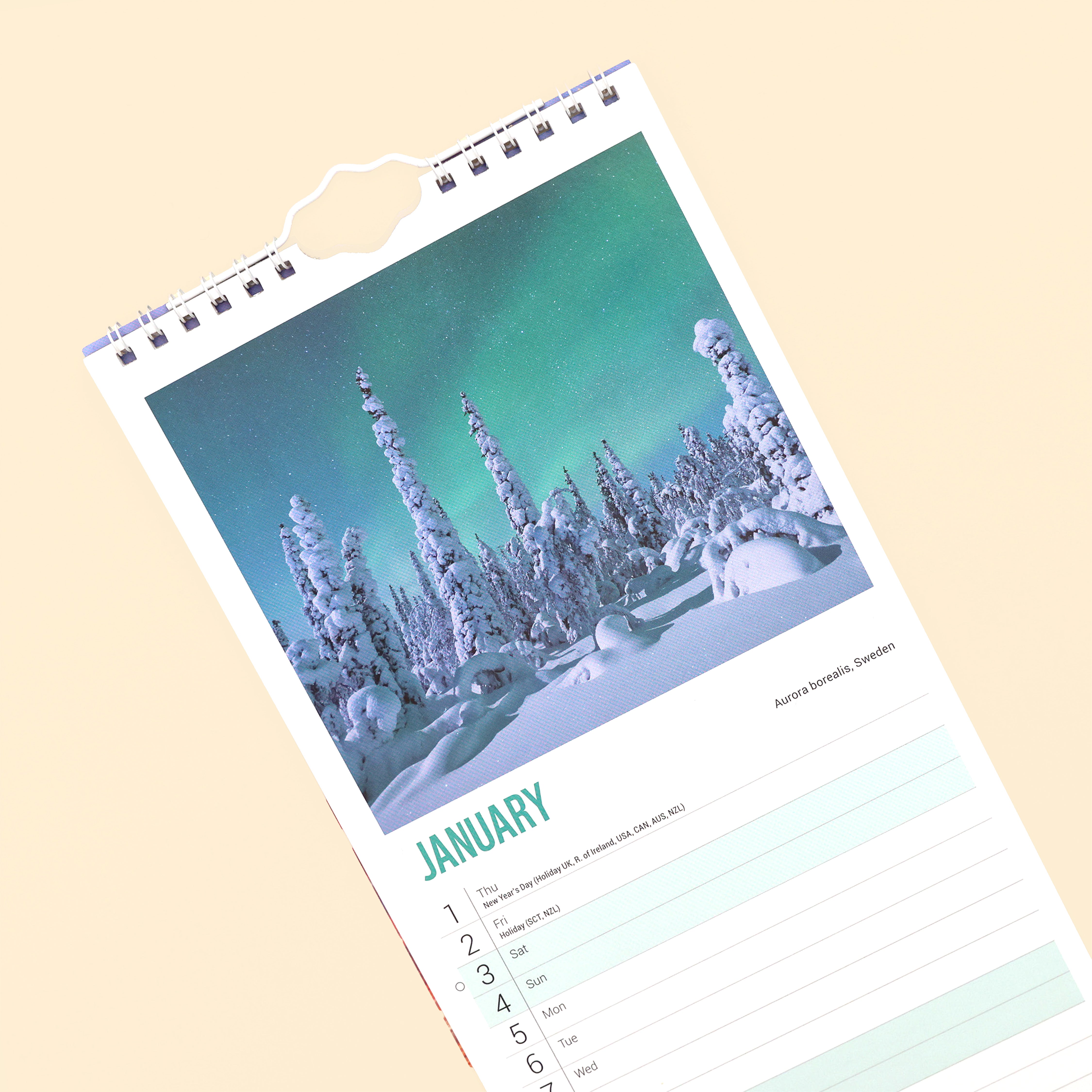 Beautiful World Slim Calendar 2026