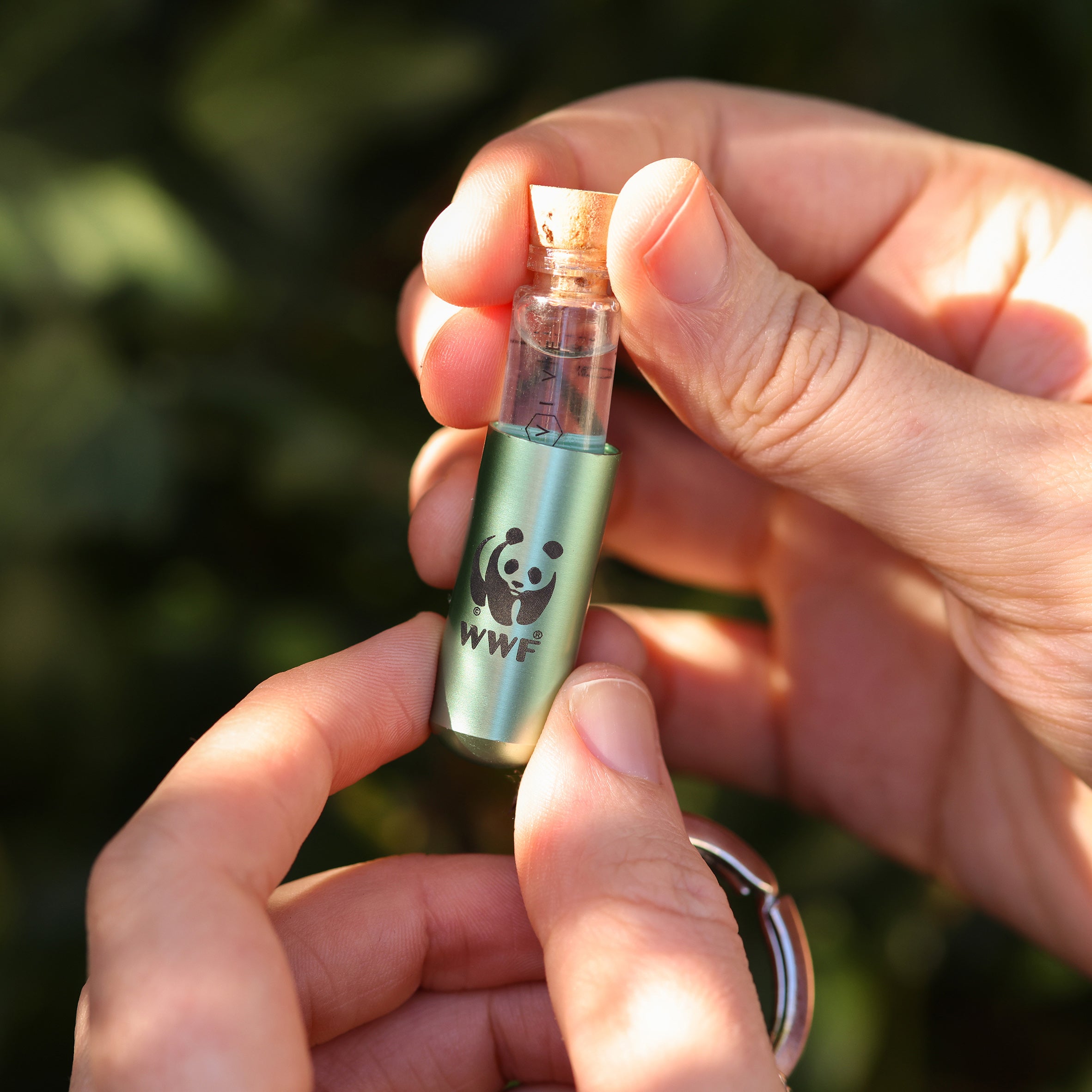 WWF X Beevive Bee Revival Kit - Sage