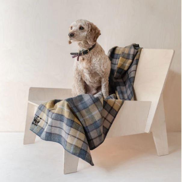 Recycled Wool Large Pet Blanket Natural Tartan