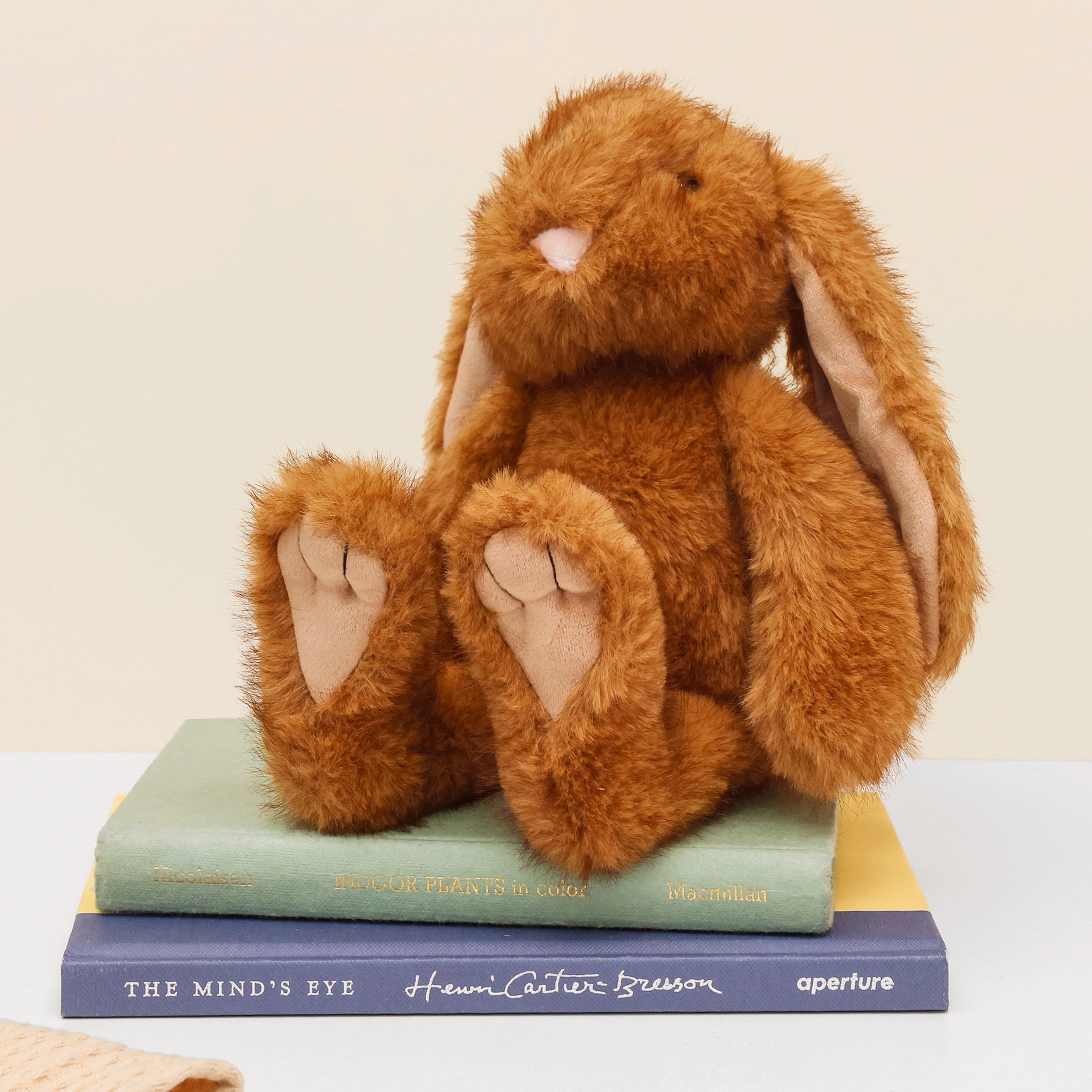 Left side of bunny made from recycled plastic bottles, sitting on books on white surface with cream background