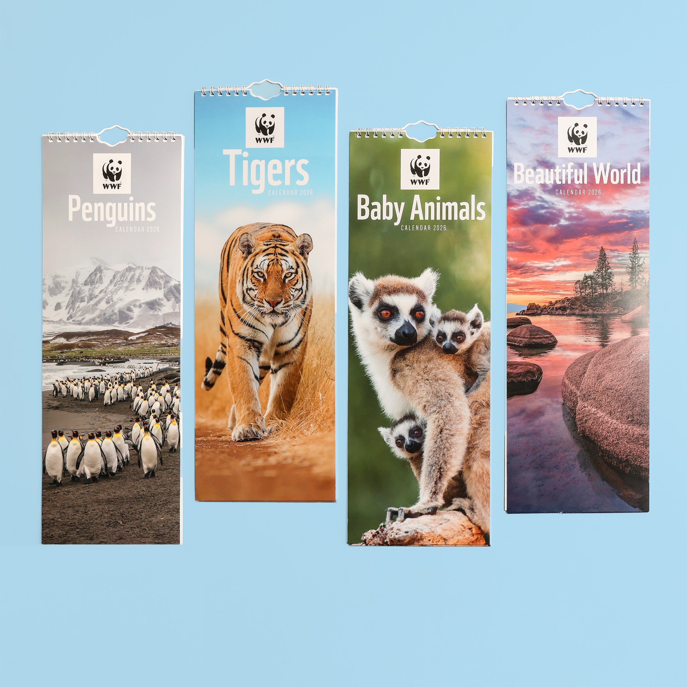Beautiful World Slim Calendar 2026