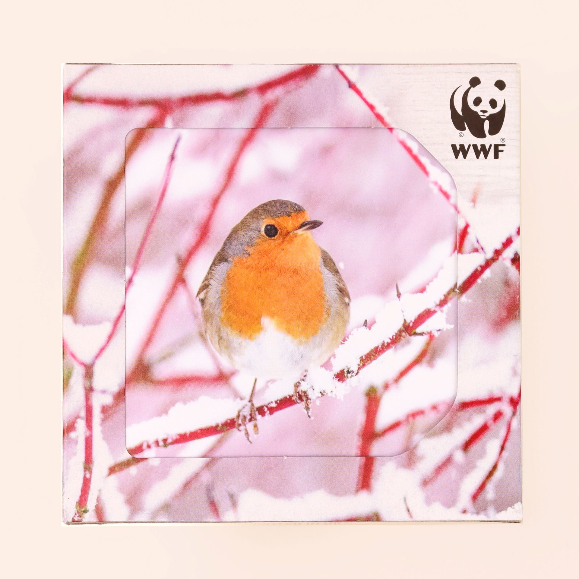 Bobbin' Robin Cards (Pack of 8)