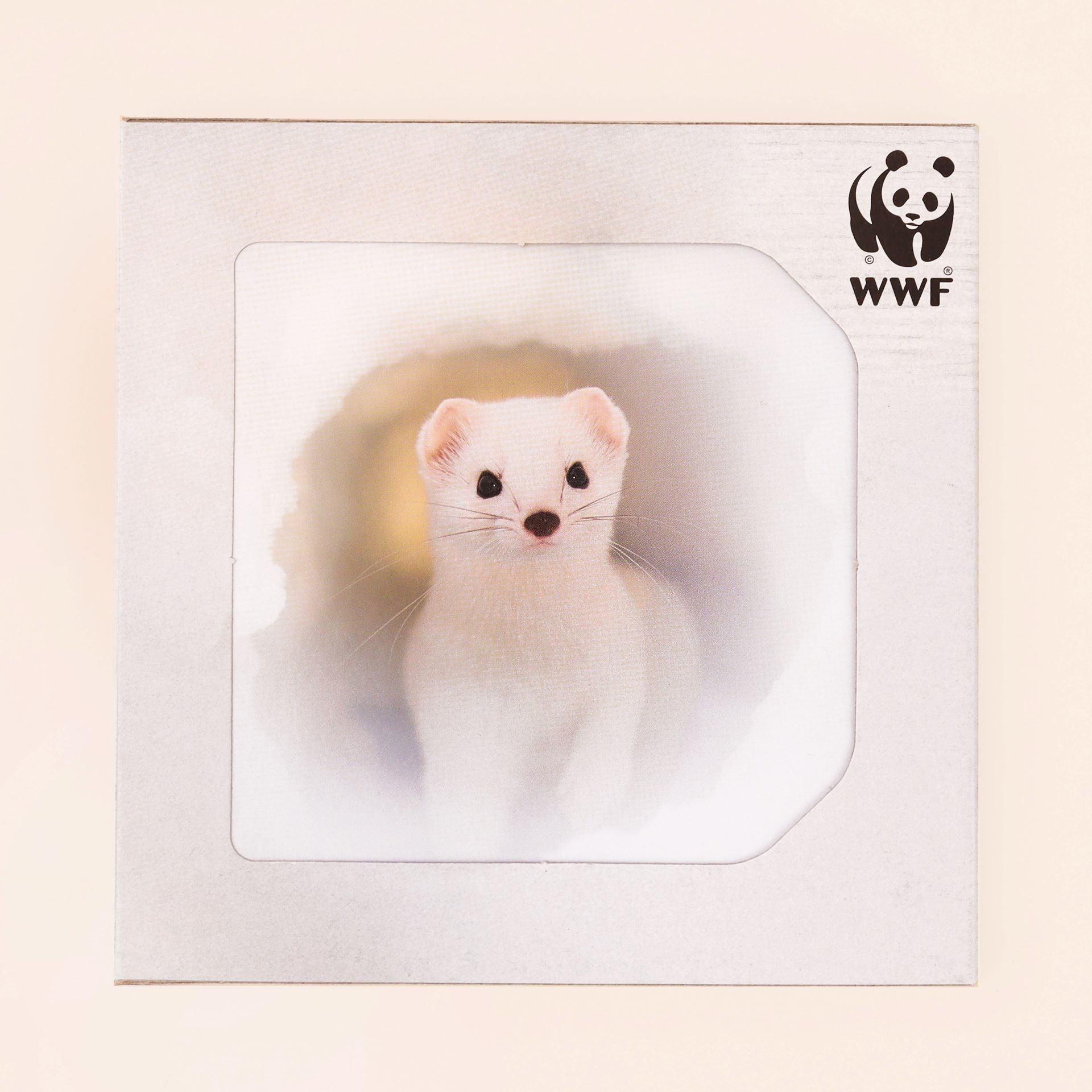Snowy Stoat Cards (Pack of 8)