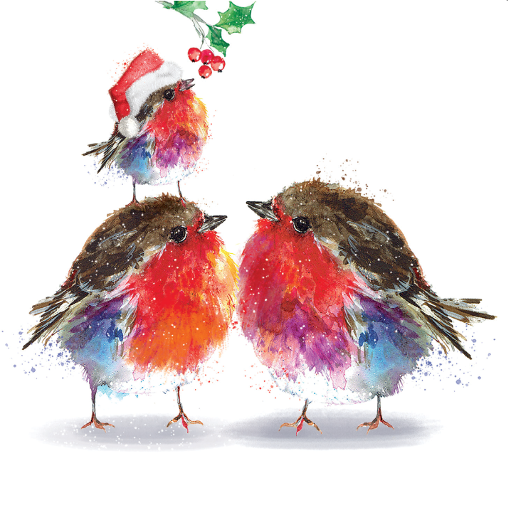 Close up of a beautifully illustrated design of a robin family; parent robins looking at the fledgling on the adults back trying to reach holly berries whilst wearing a Santa hat