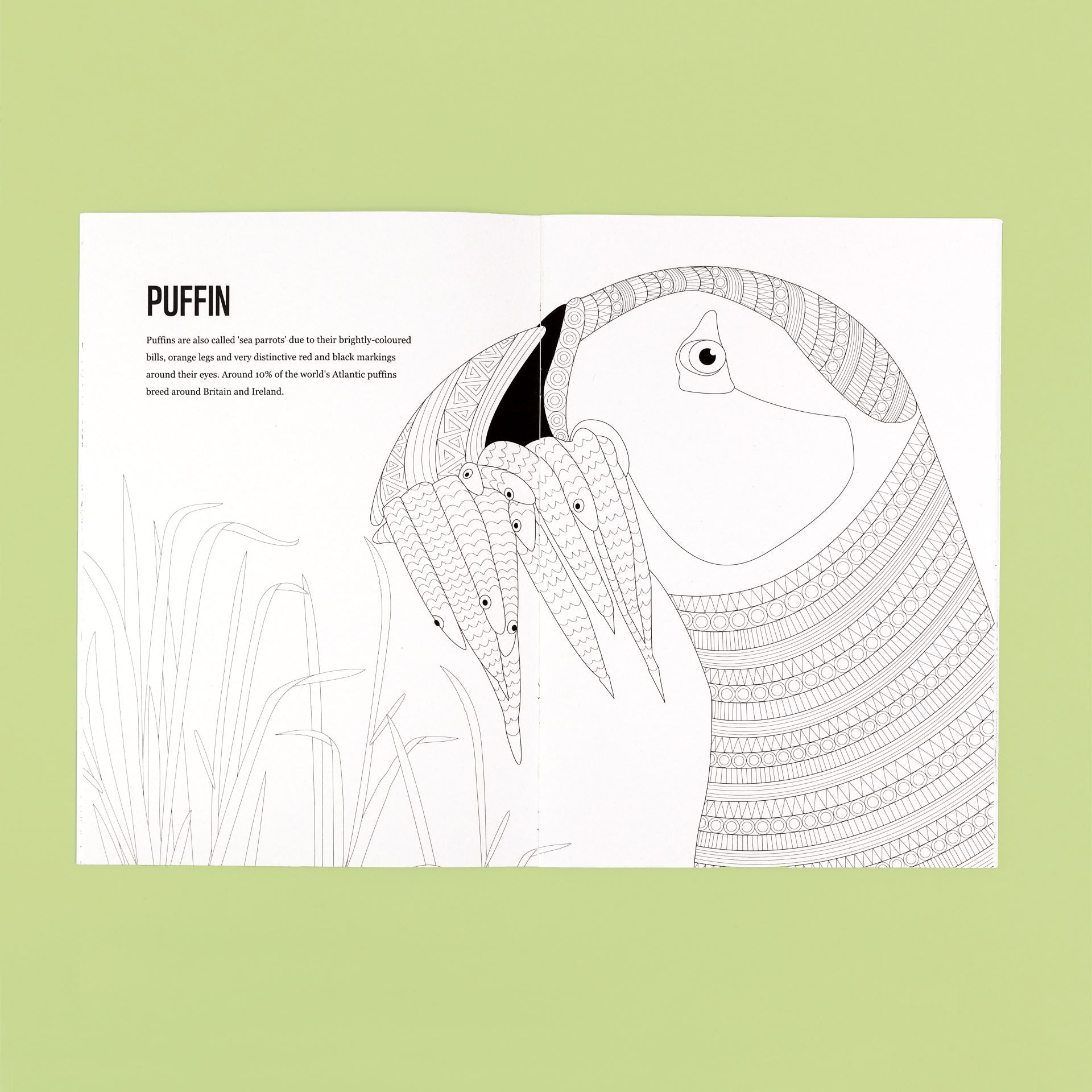 Patterns to Protect Colouring Book - UK Edition