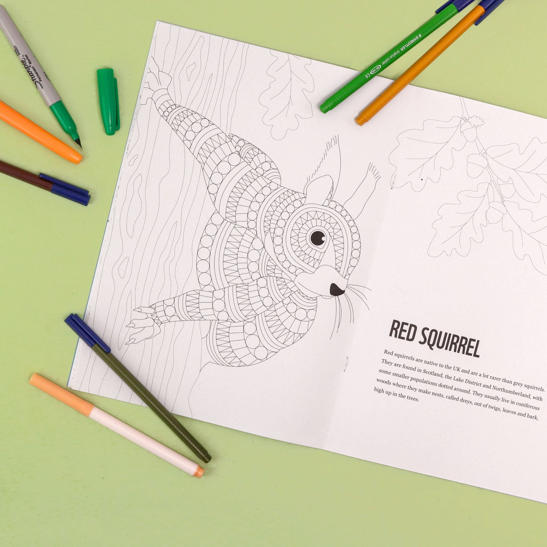 Patterns to Protect Colouring Book - UK Edition