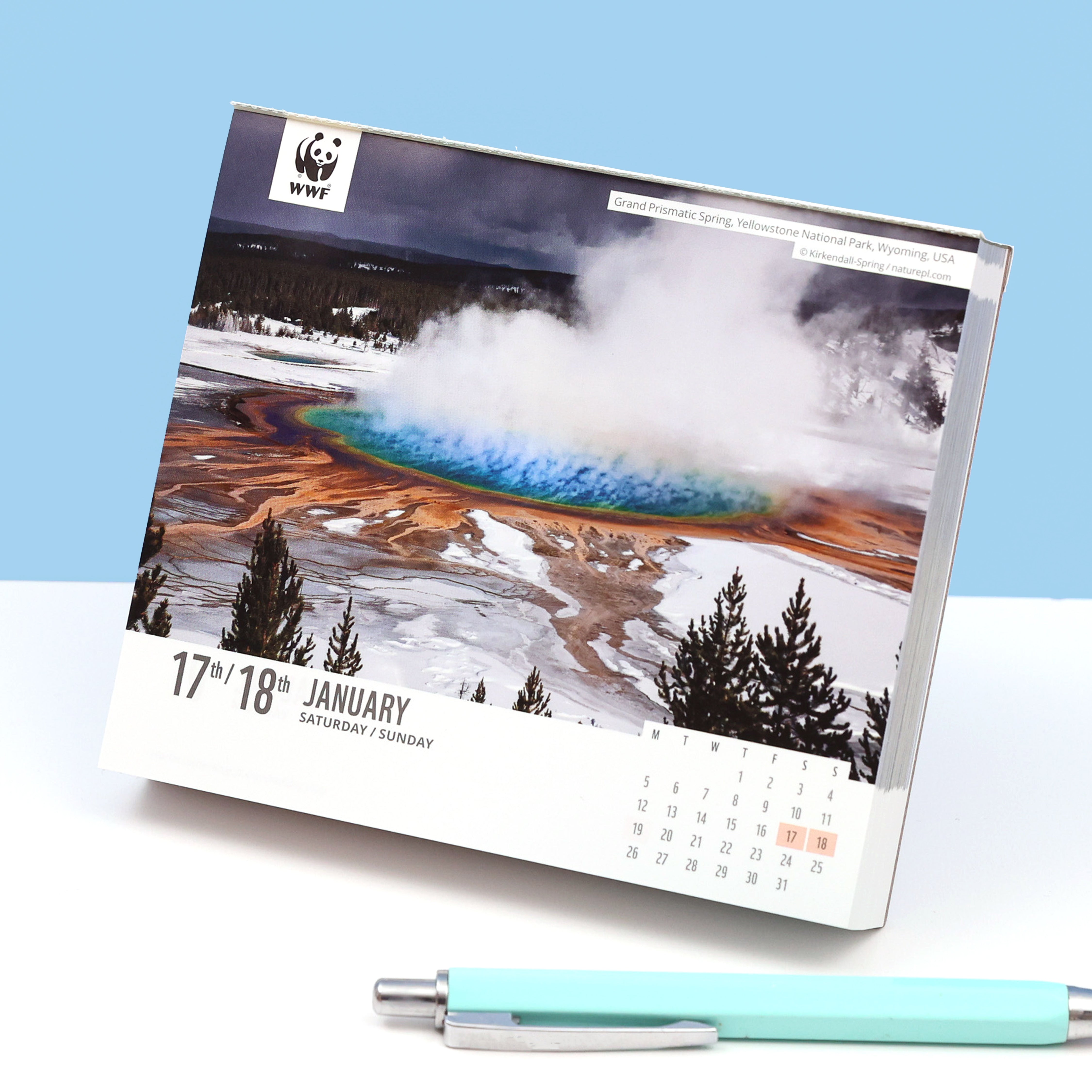 Natural World Desk Calendar Diary 2026