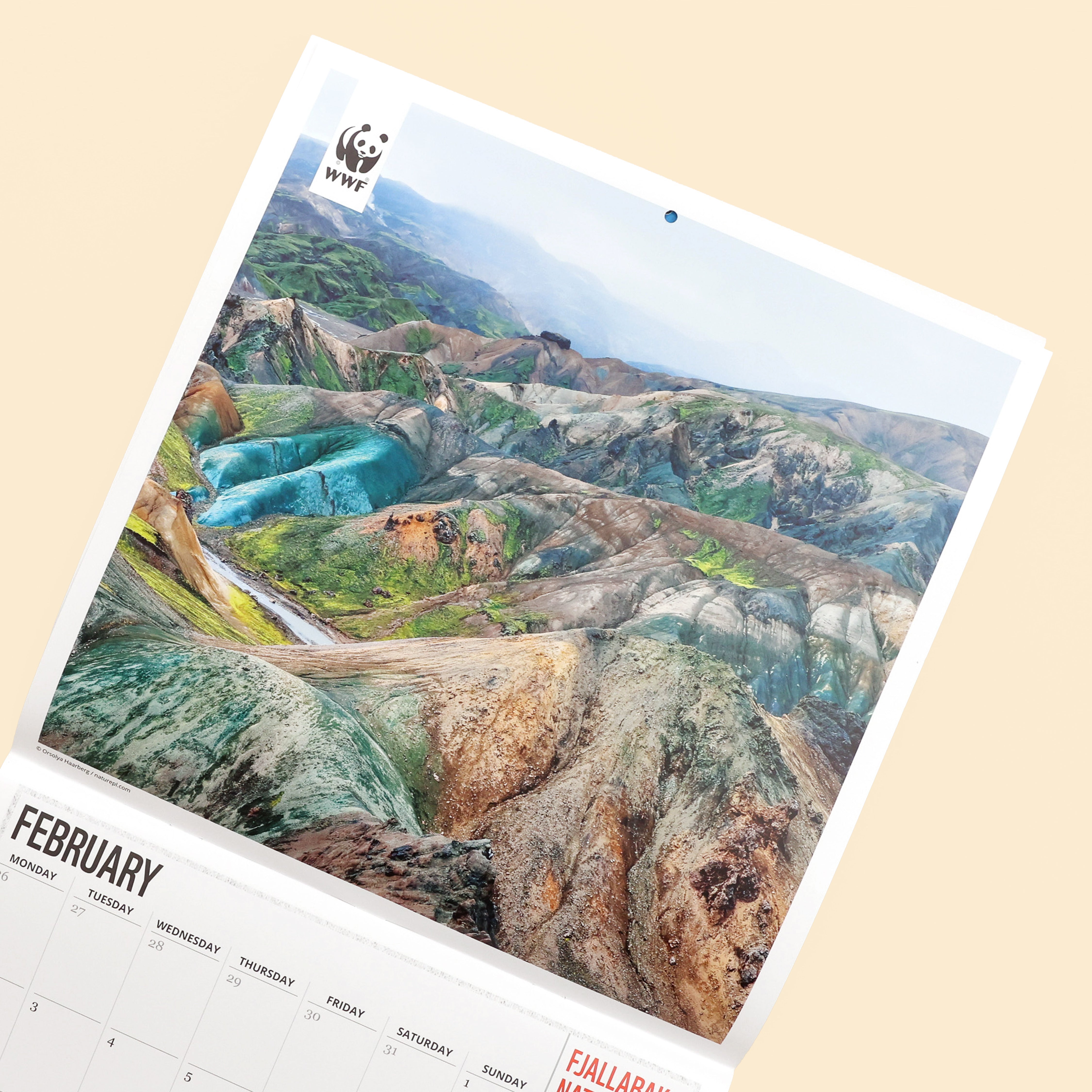 Fragile Earth Wall Calendar 2026