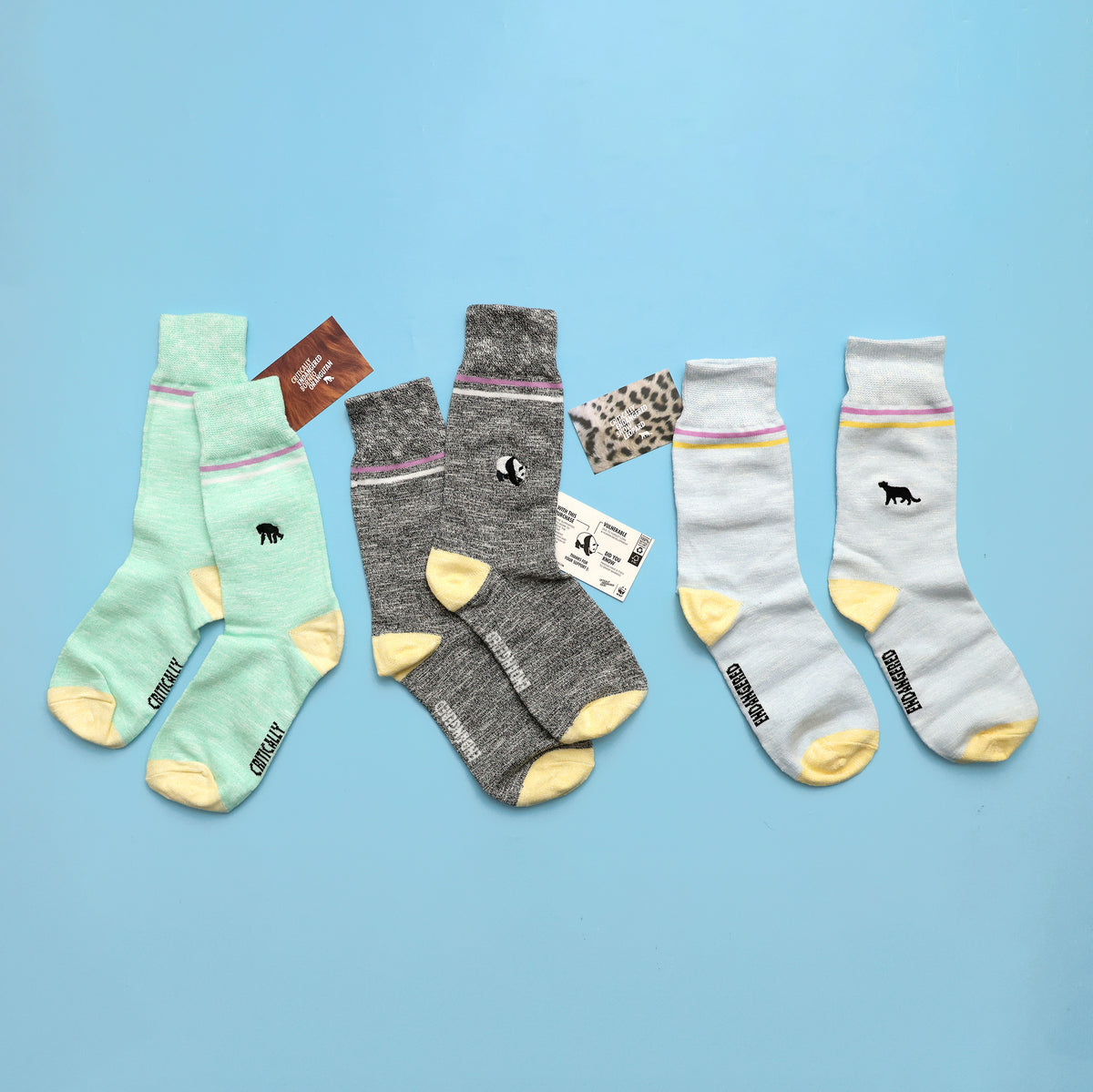 Critically Endangered Adult Speckled Socks - 3 Pack