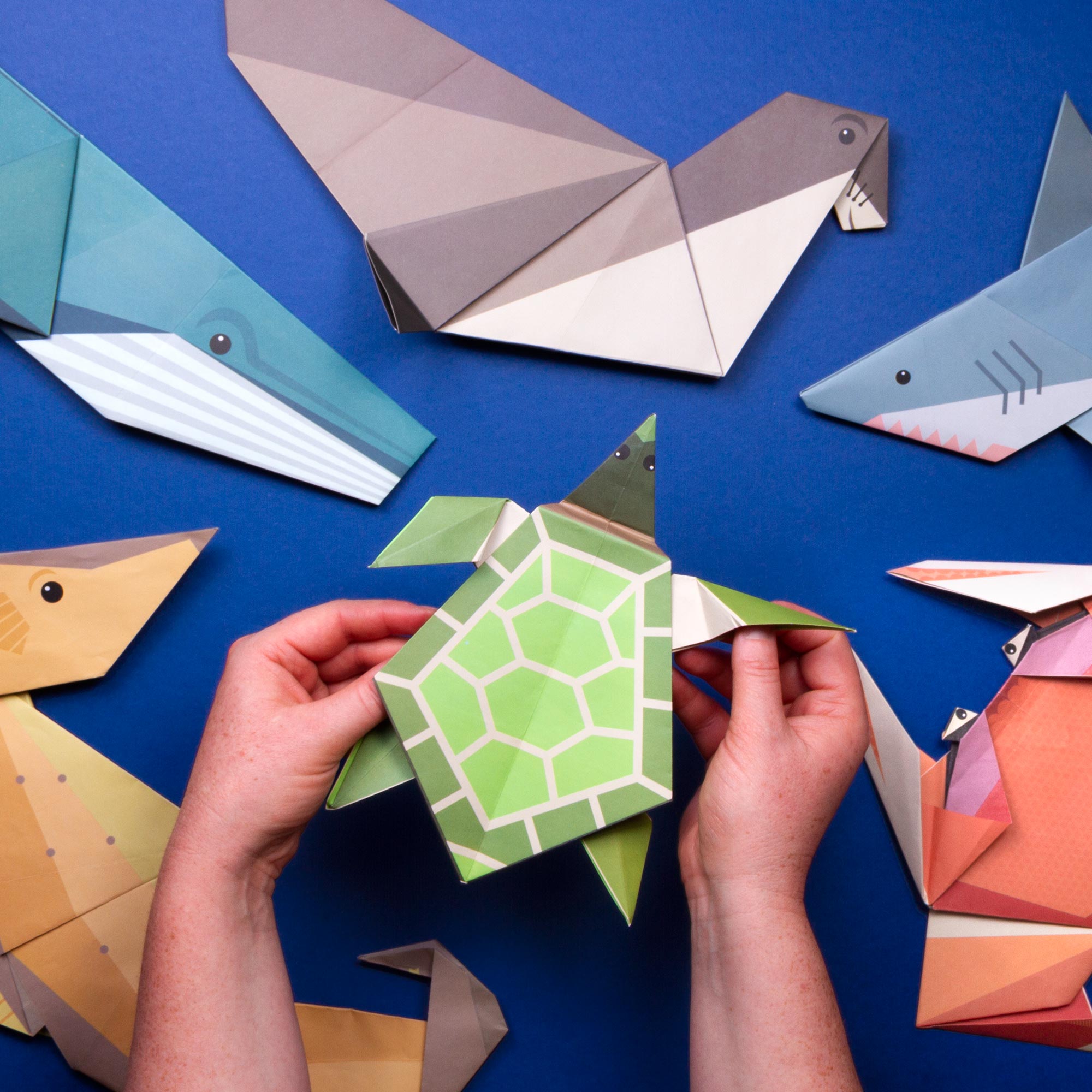 Crab, seal, seahorse, whale and shark in origami on blue background with hands holding the turtle origami