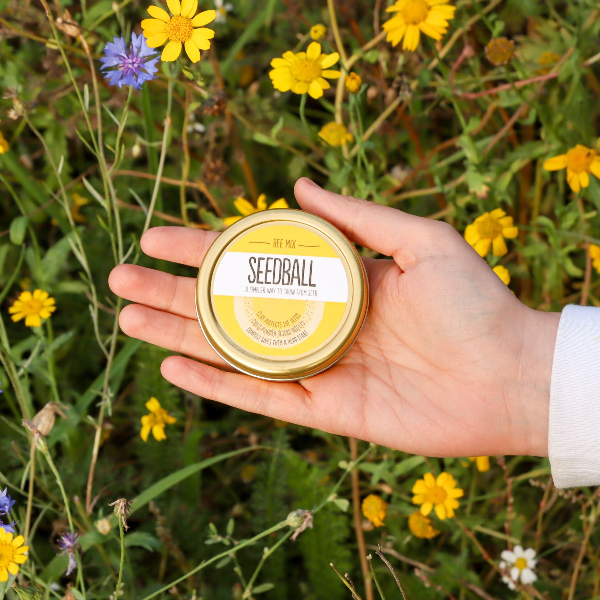 Bee Revival Kit Gift Box