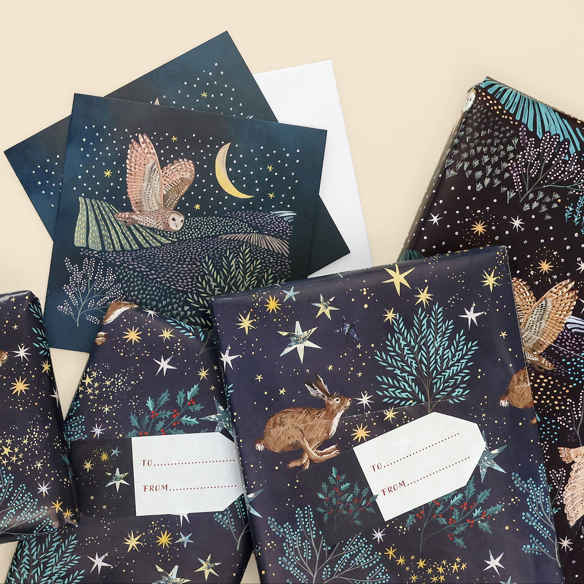 Starlit Fields Wrapping Paper (4 sheets & 8 sticker tags)