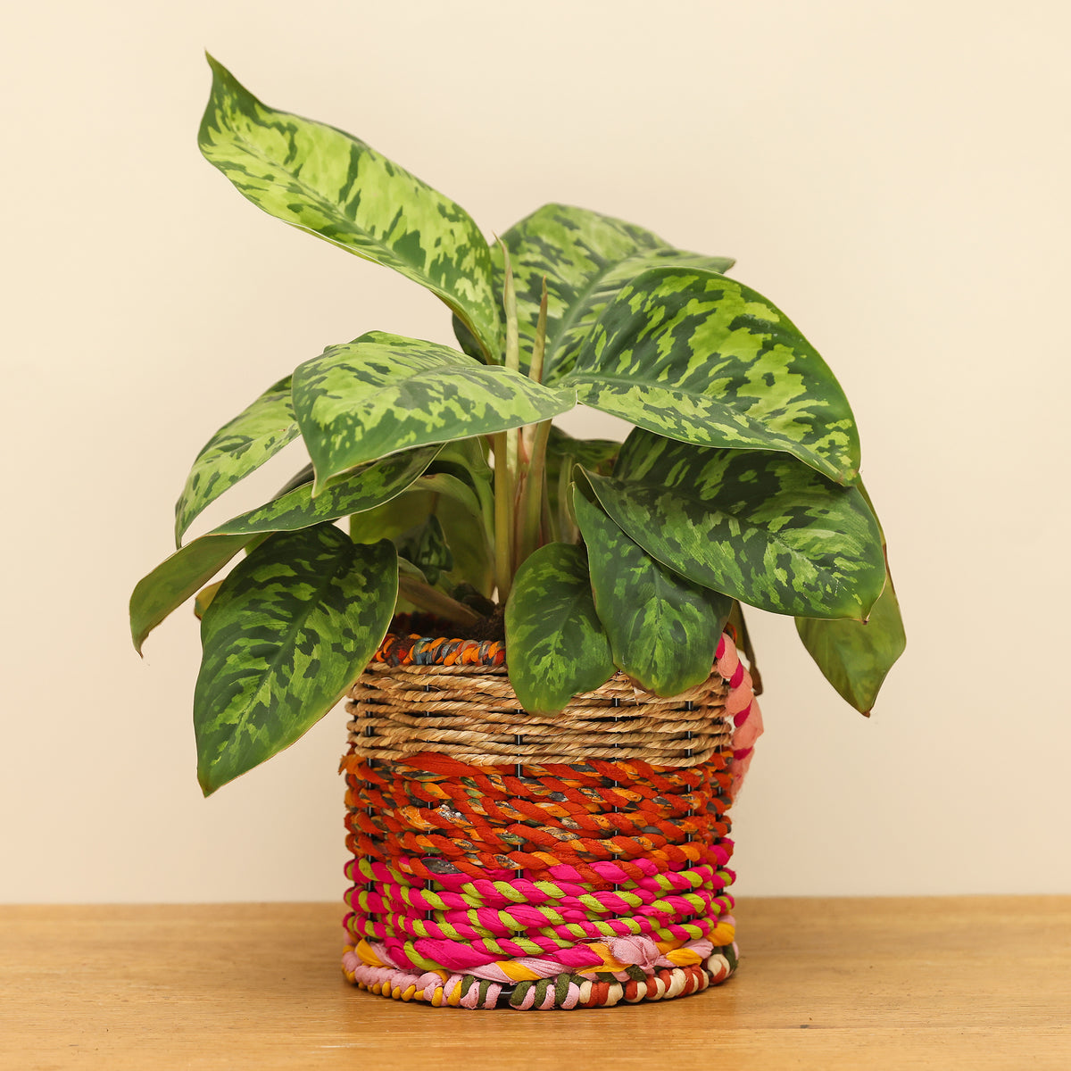 Munja and Reclaimed Fabric Eco Hanging Planter – Medium