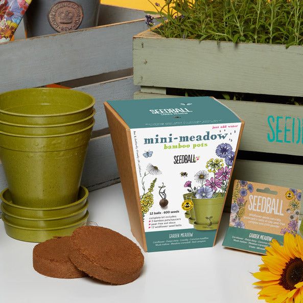 Seedball Mini Meadow Bamboo Pots - Garden Meadow
