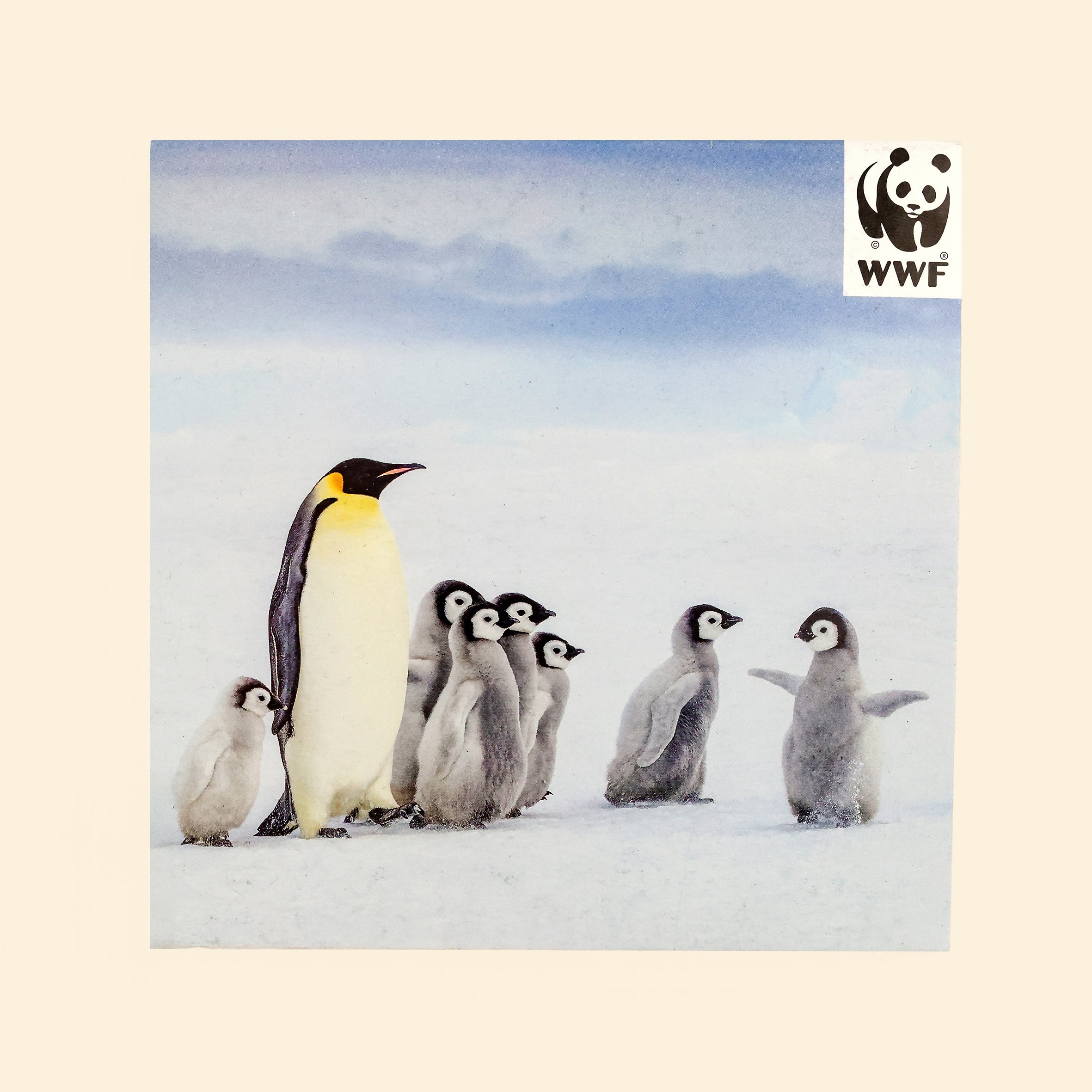Front of Emperor Penguins Cards pack with WWF logo on cream surface