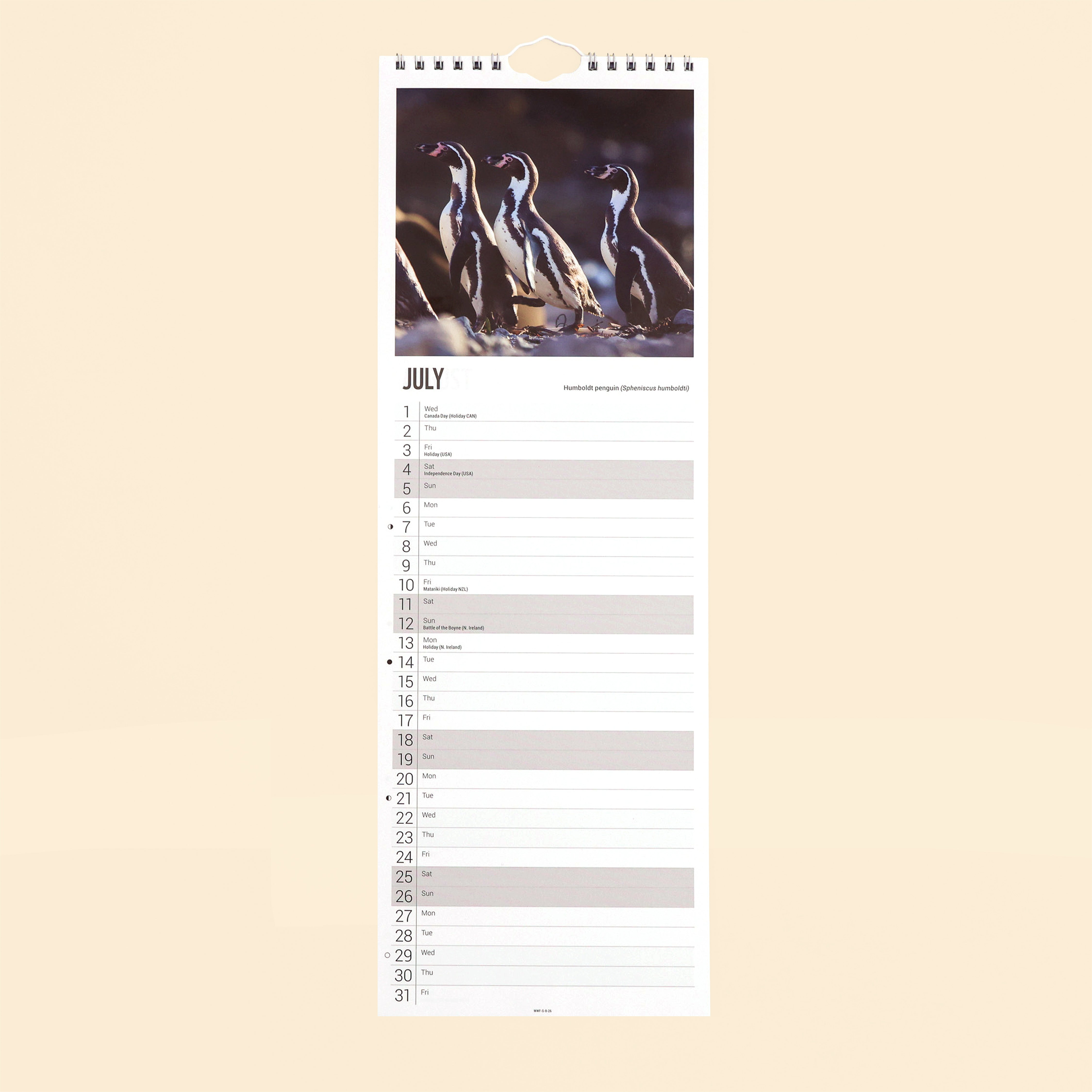 Penguins Slim Calendar 2026