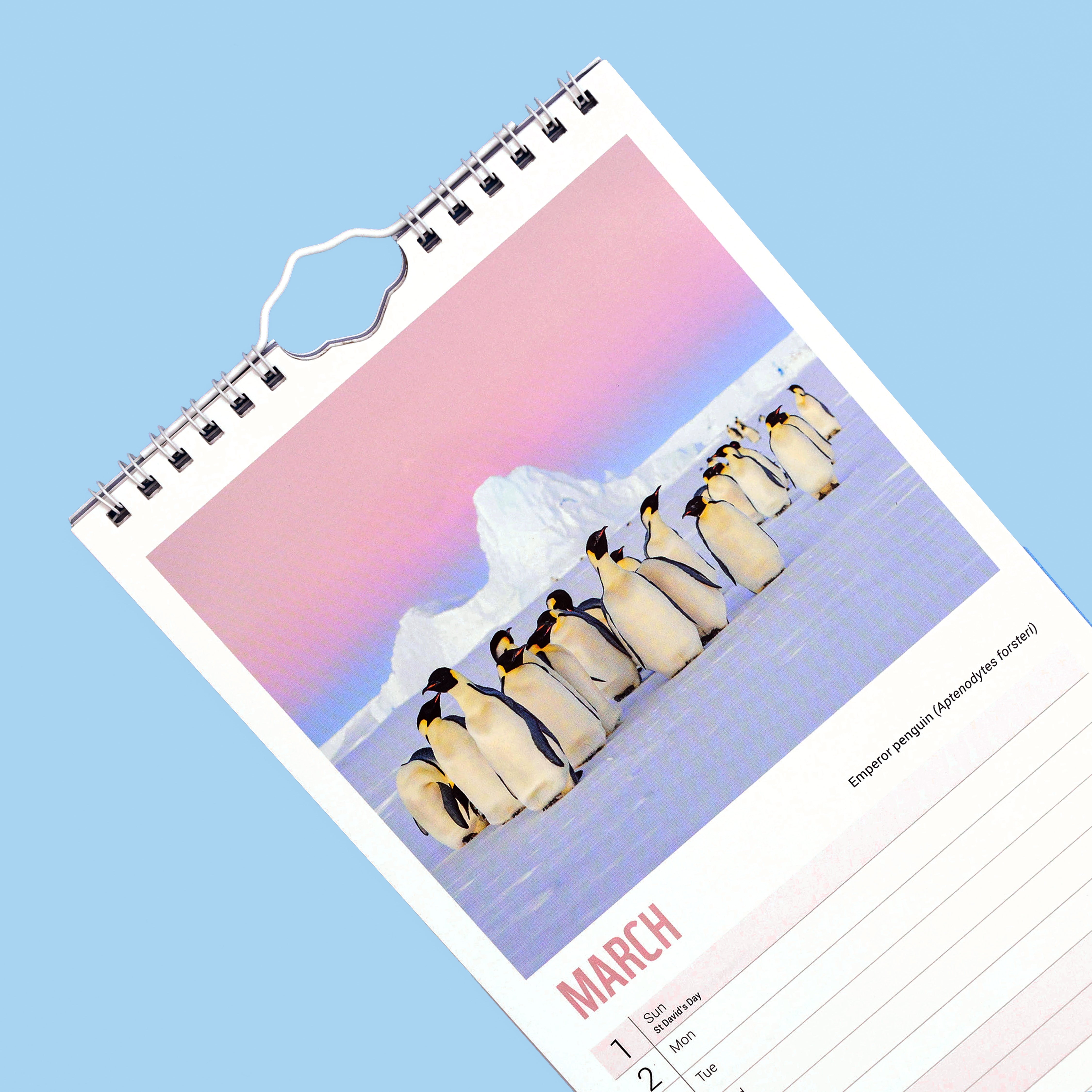 Penguins Slim Calendar 2026