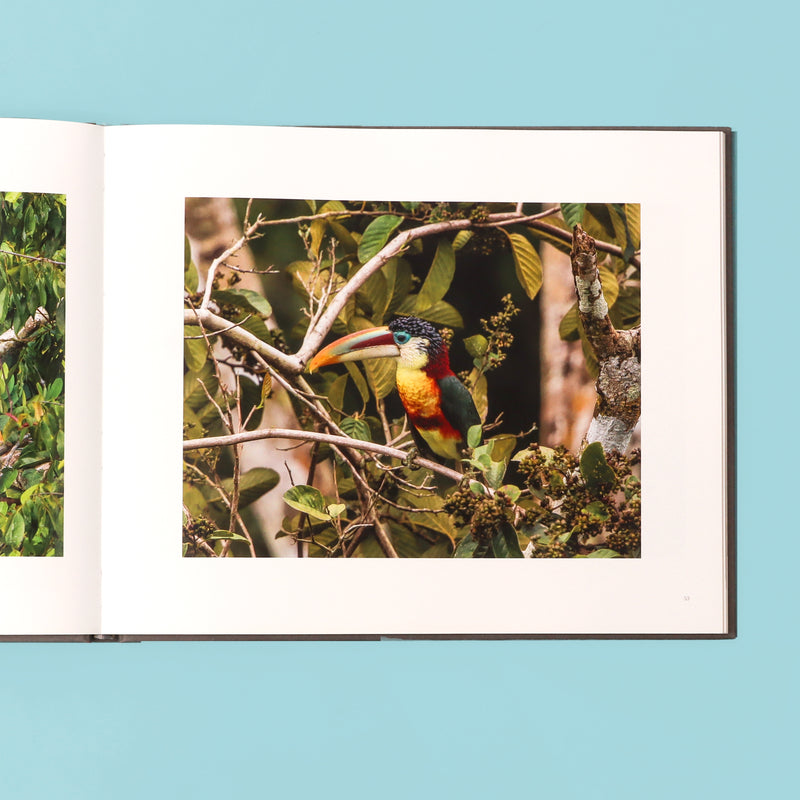 Focus on the Wild photography book by Roger Hooper