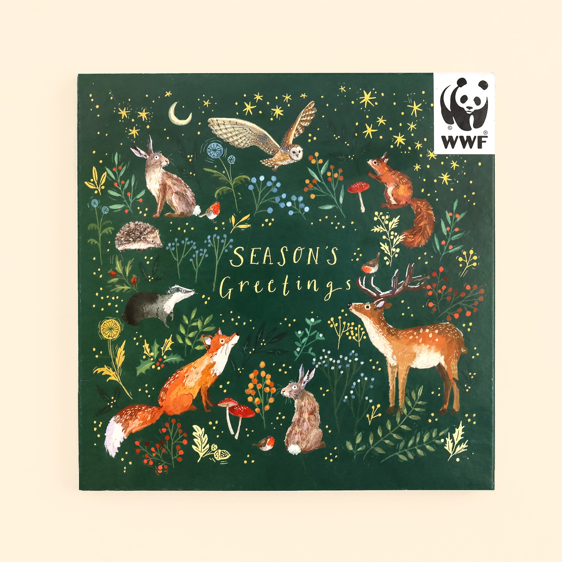 Front of 10 pack Woodland Season's Greetings Cards showing beautiful design with WWF logo on cream background