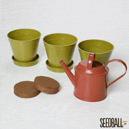 Seedball Mini Meadow Bamboo Pots - Garden Meadow