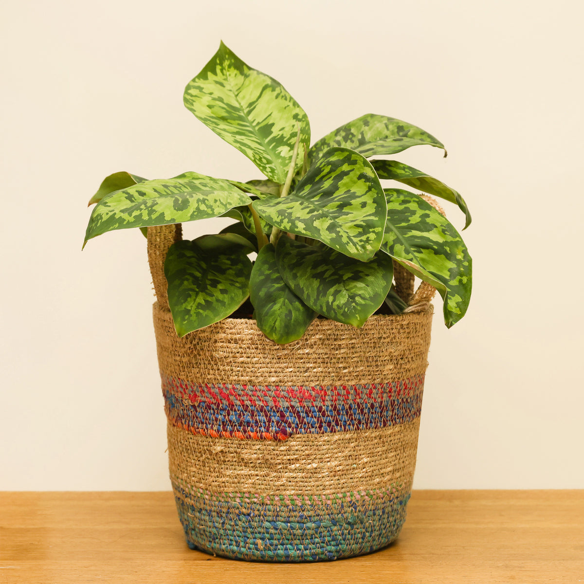 Munja And Reclaimed Fabric Eco Plant Pot Cover With Handles – Set Of 3