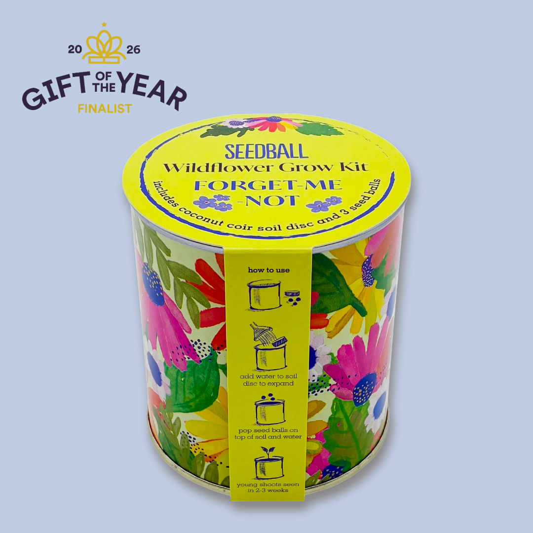 Seedball Wildflower Grow Kit - Forget-Me-Not