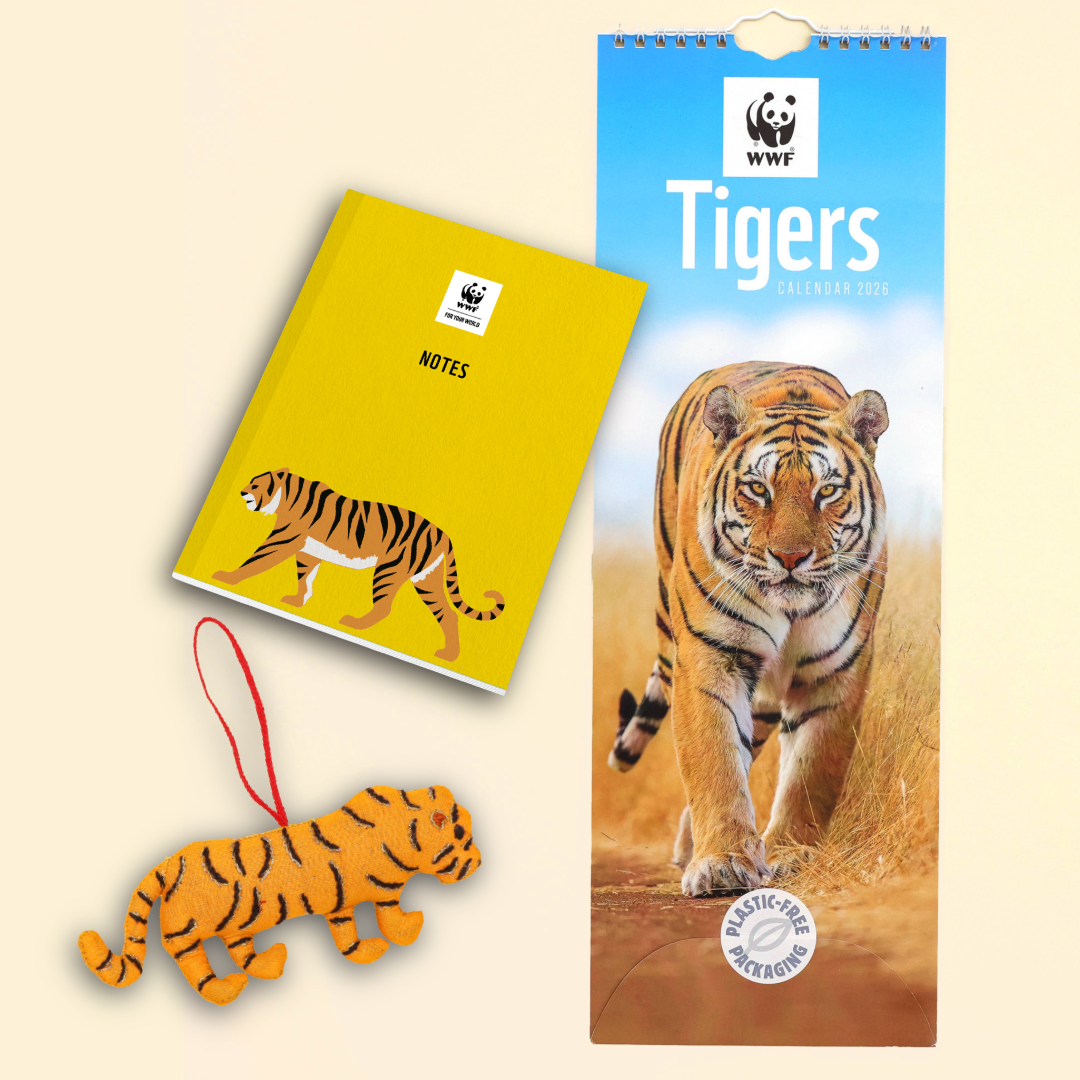 Tiger Gift Set