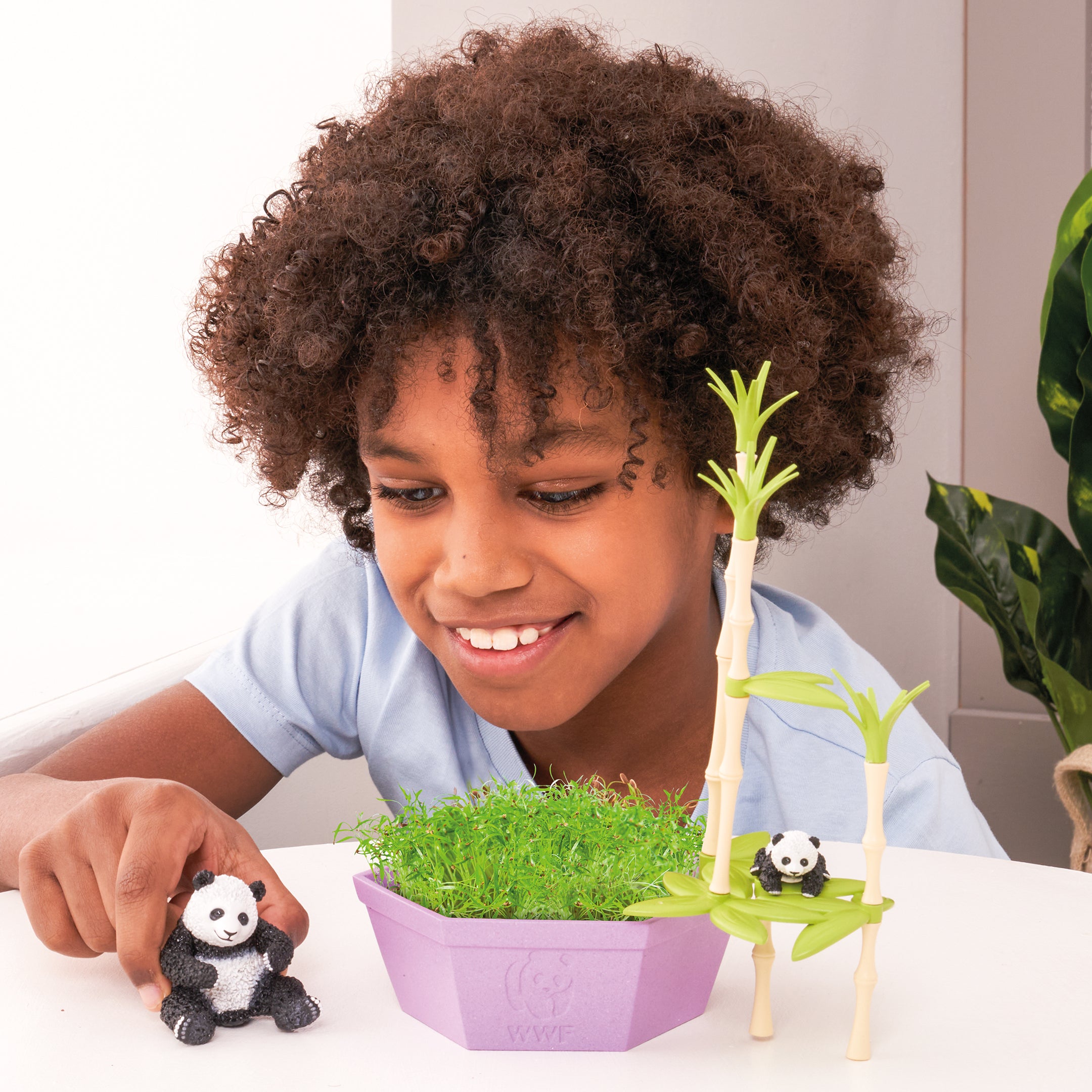 Wild Scenes Grow and Play - Pandas' Bamboo Forest