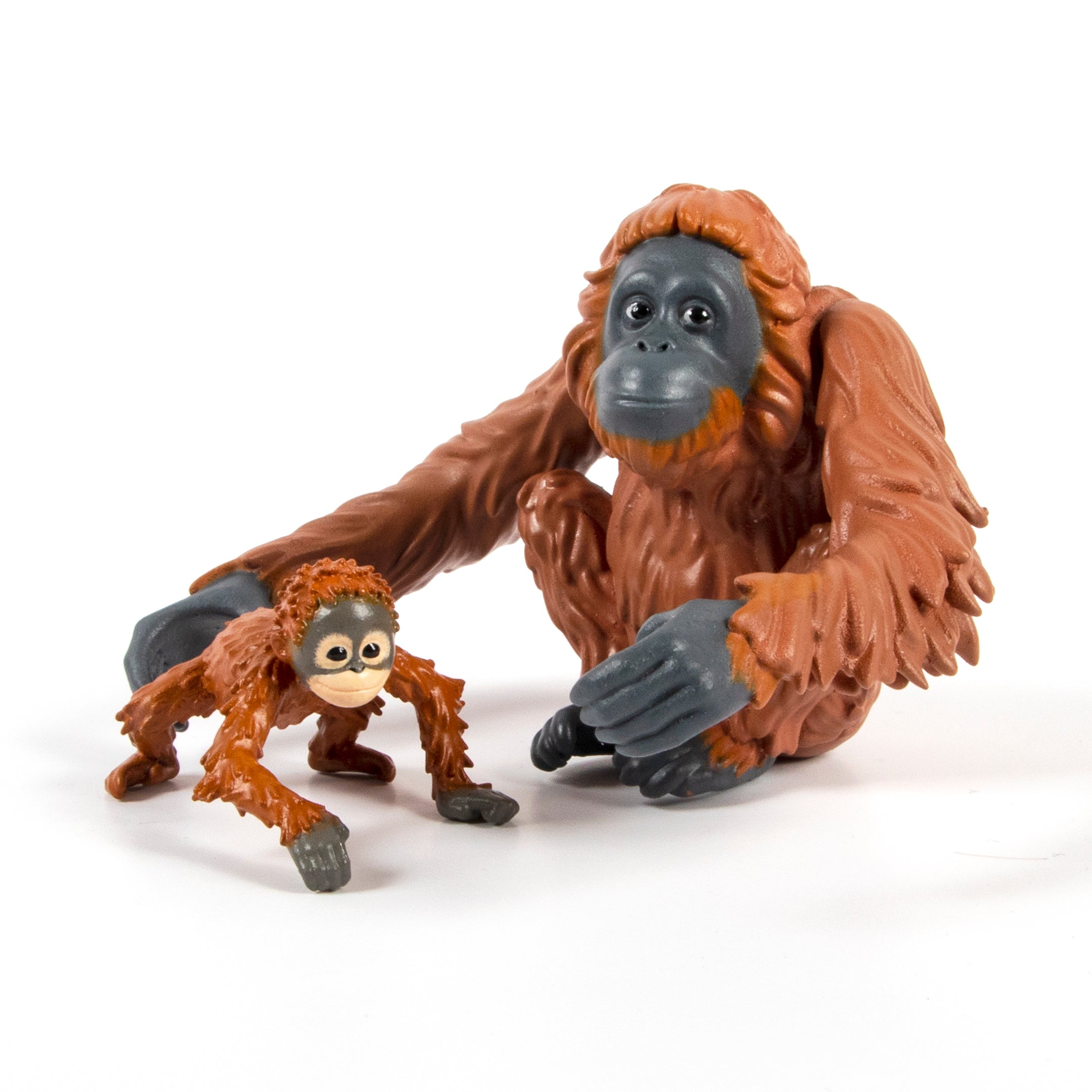 Wild Scenes Grow and Play - Orangutans’ Treetop Adventure