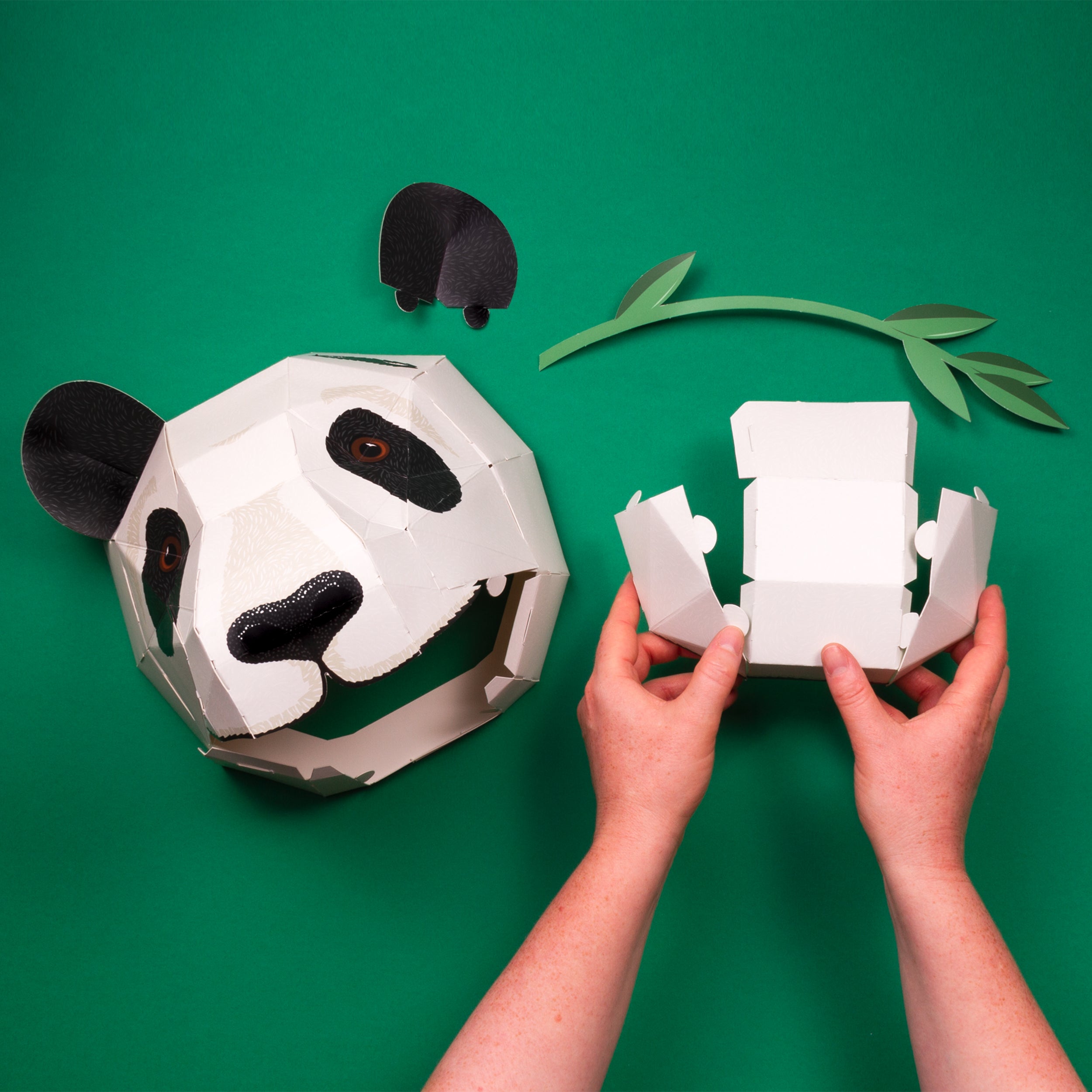 Constructing of the cardboard panda head jaw on green surface