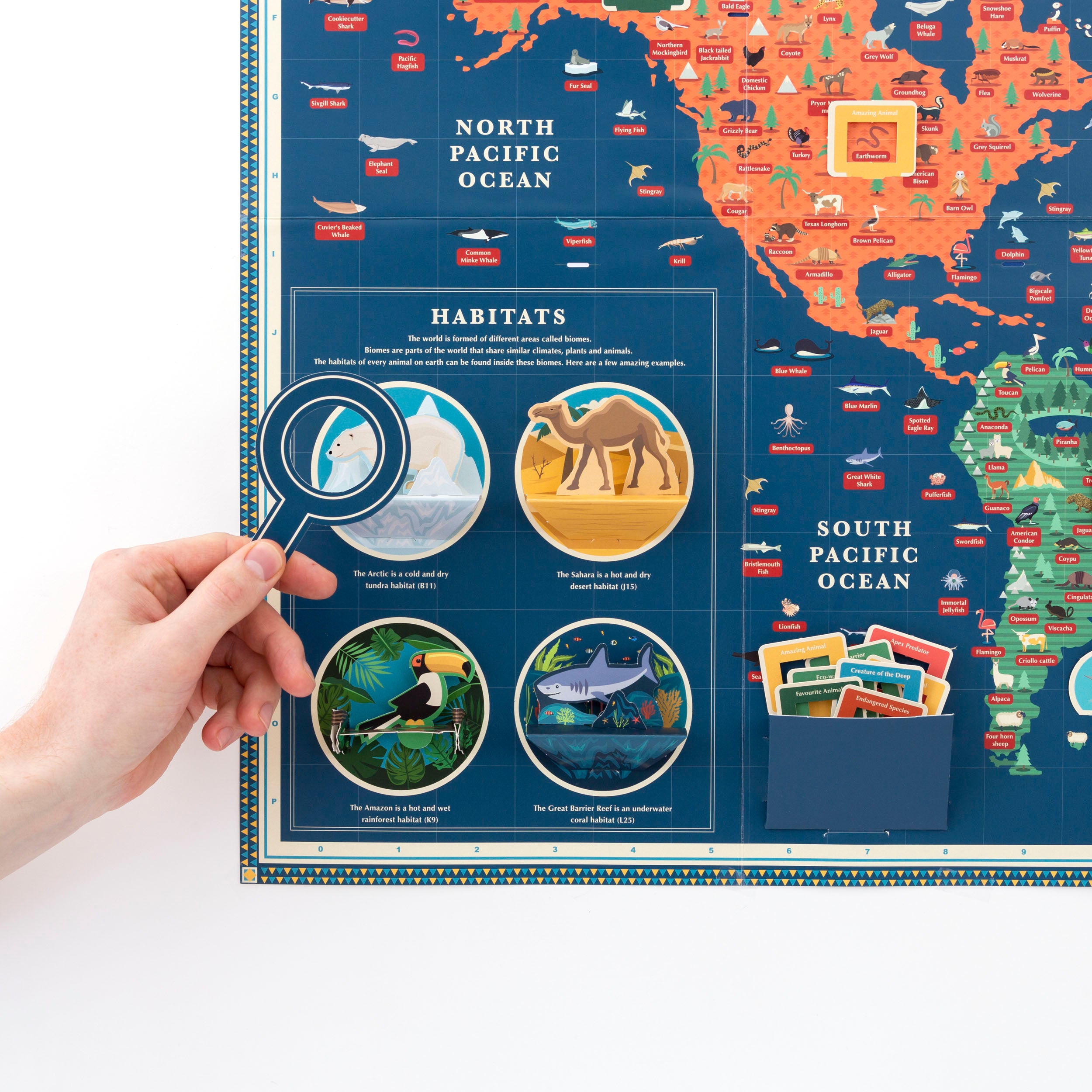 Zoom in on Amazing Animal Kingdom Giant Map habitats and pocket with markers with hand holding card magnifying glass