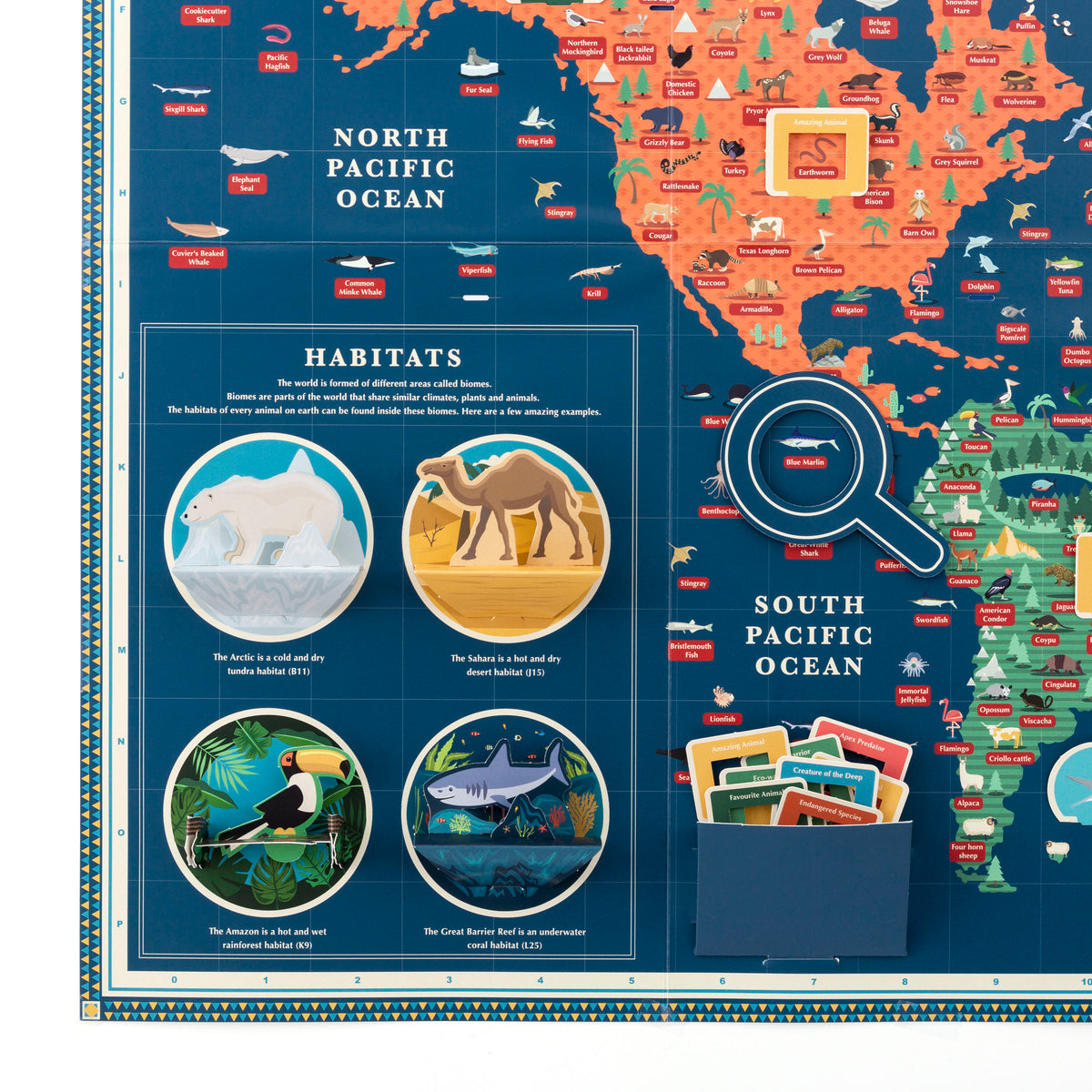 Zoom in on Amazing Animal Kingdom Giant Map habitats and pocket with markers