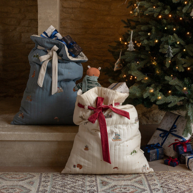 Present Sack - Bear Cub & Friends