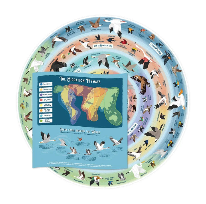 Completed cardboard Bird lover's Jigsaw puzzle and paper migration map laid on white surface
