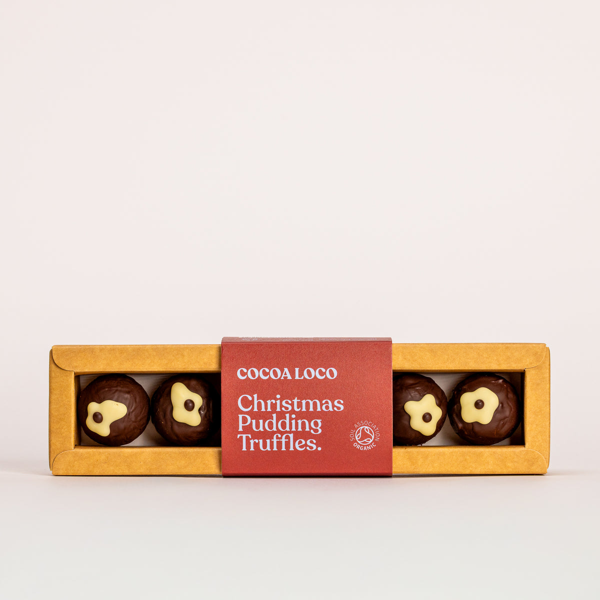 Organic Christmas Pudding Truffles