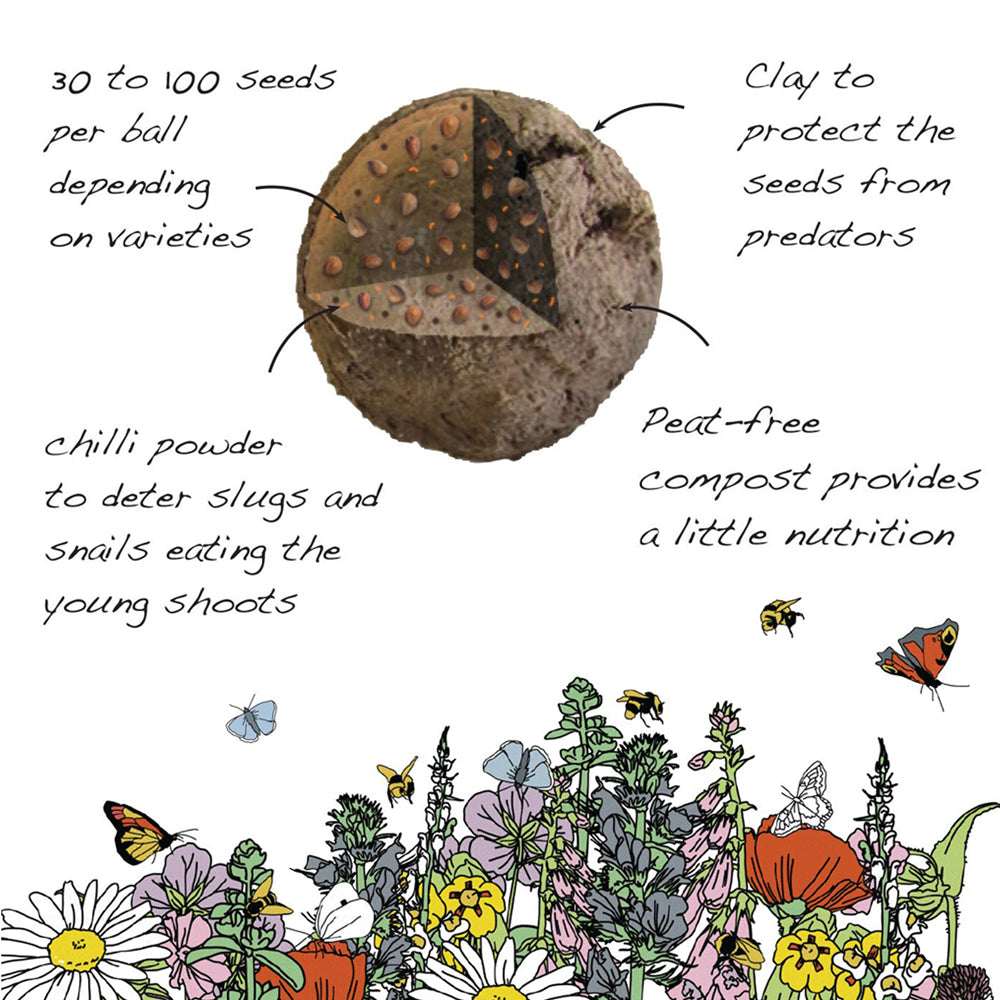 Seedball Wildflower Bag - Wildlife